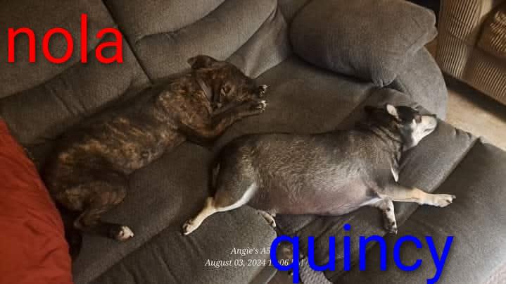 Quincy RIP Quincy RIP