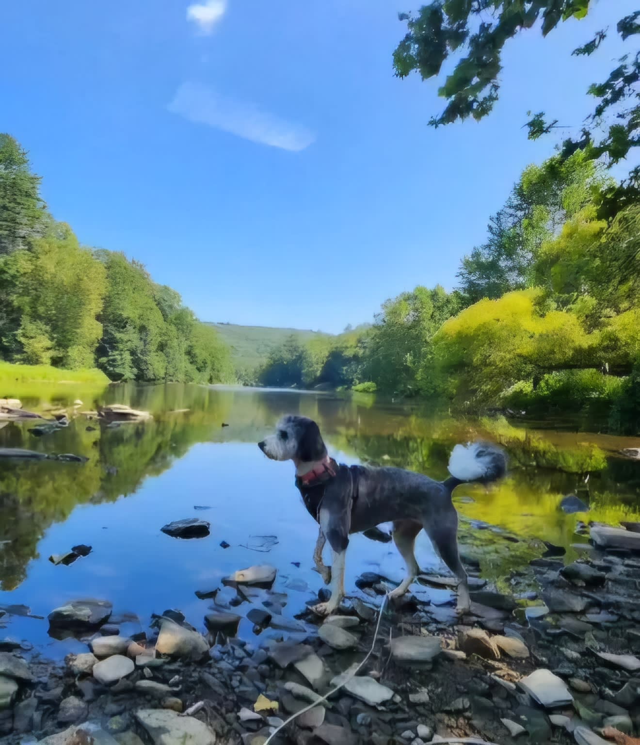 ANNIE with the lashes