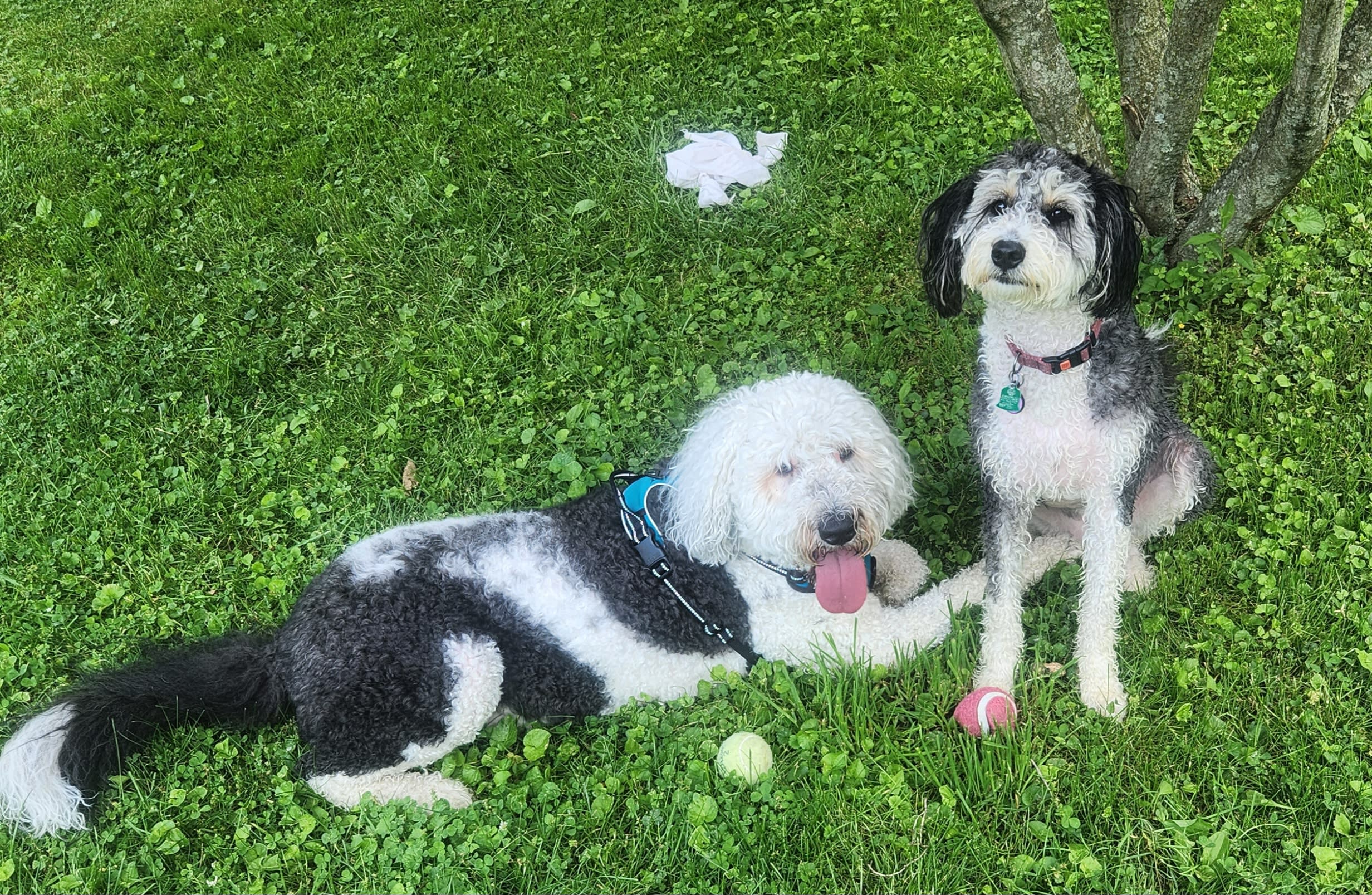 ANNIE with the lashes