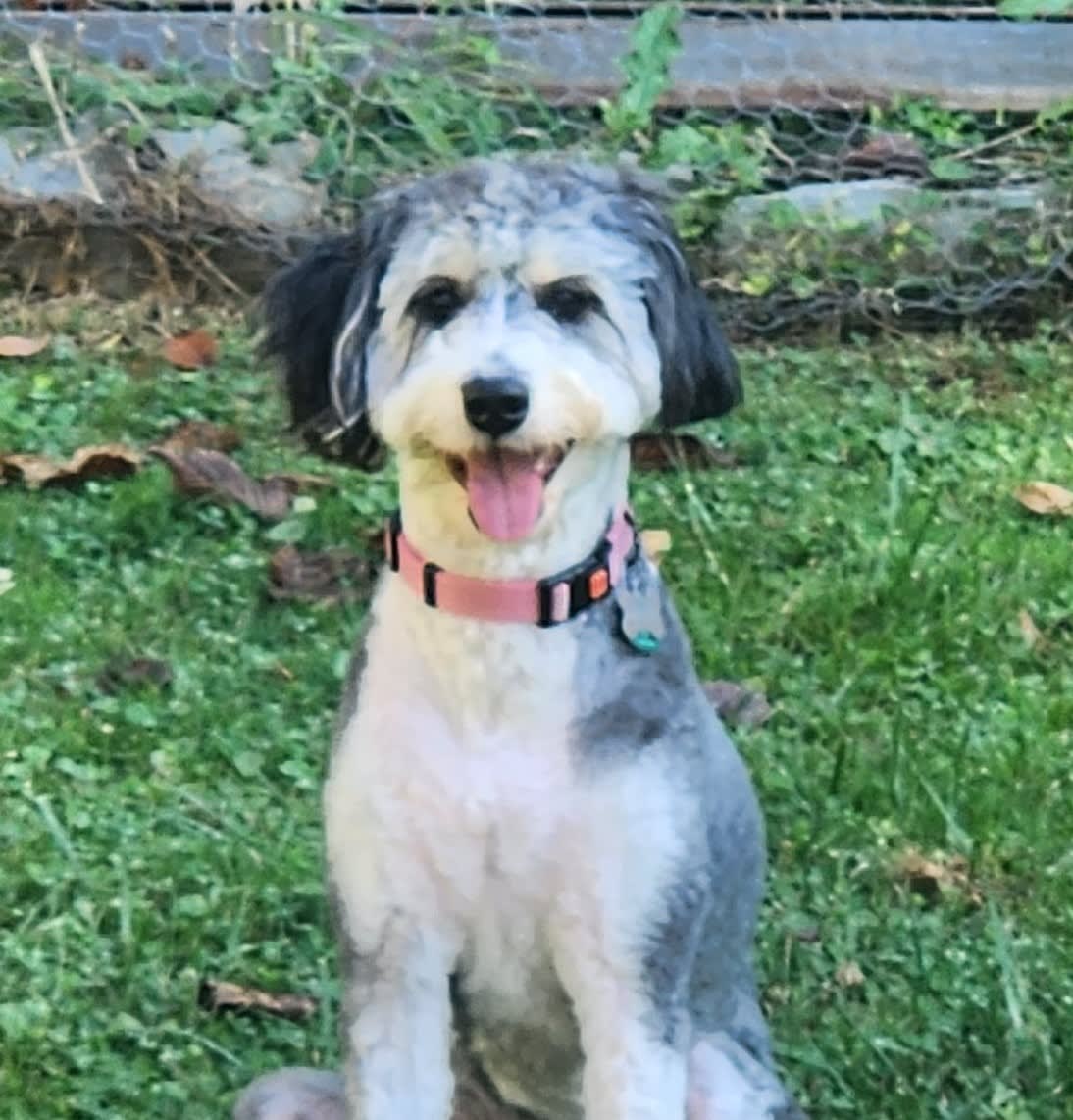 ANNIE with the lashes