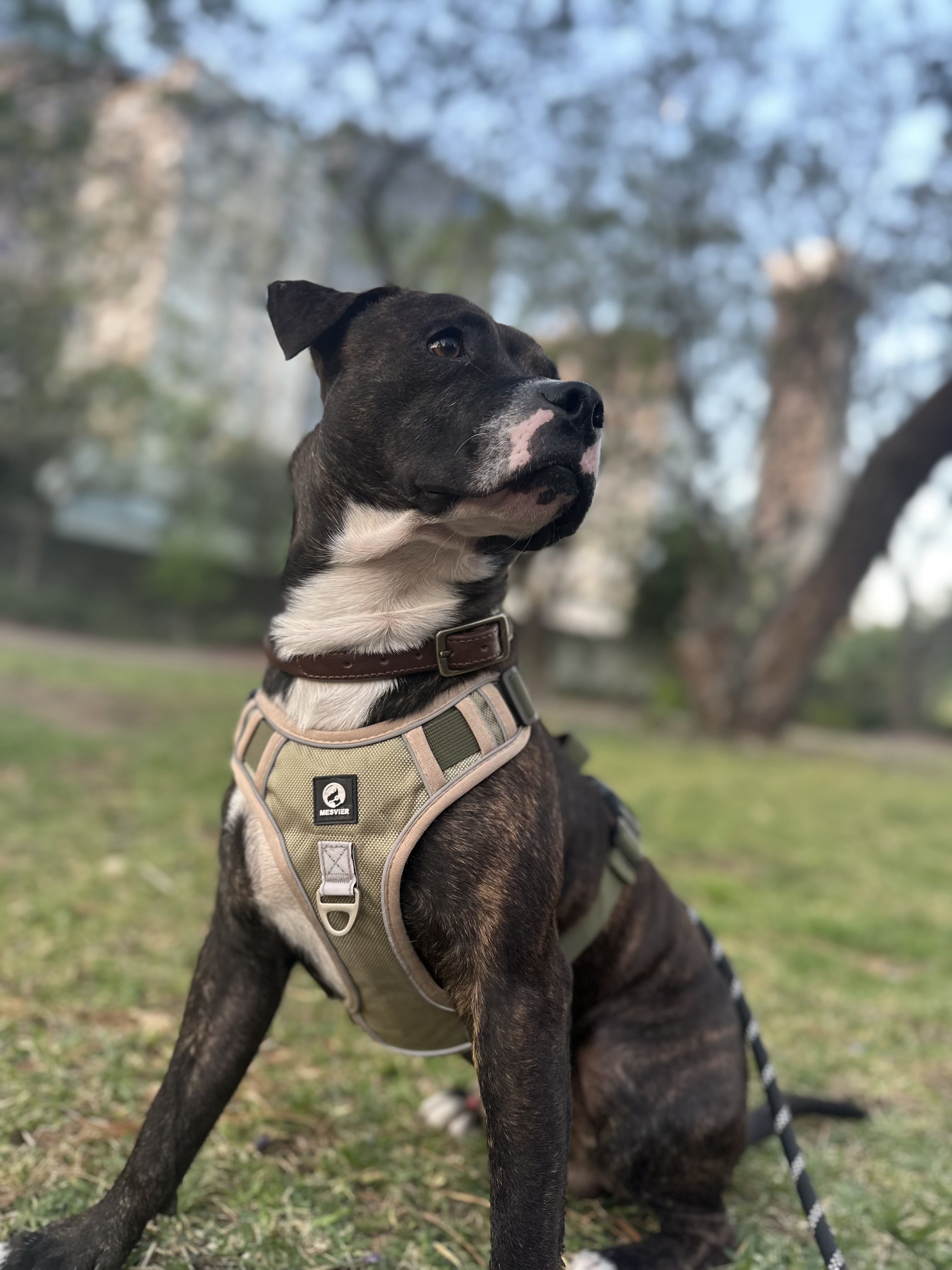 Vito y Tony Vito y Tony