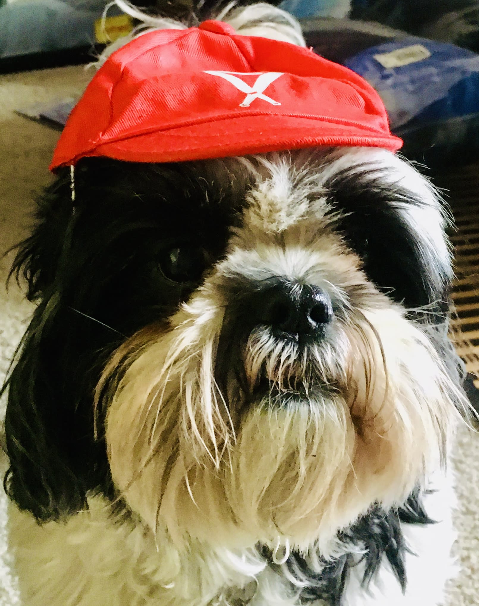 Hunter Sage Hunter Sage