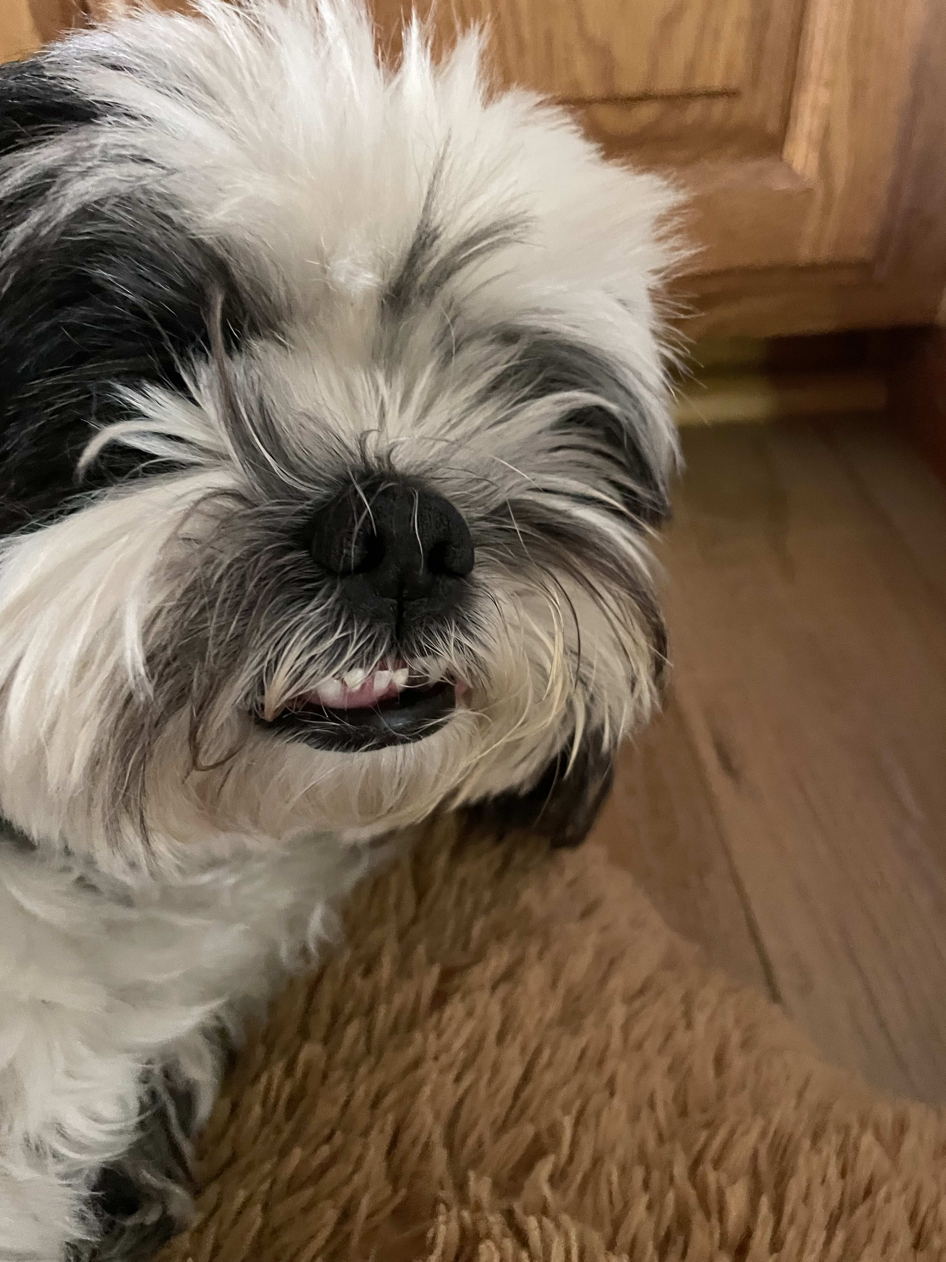 Hunter Sage Hunter Sage