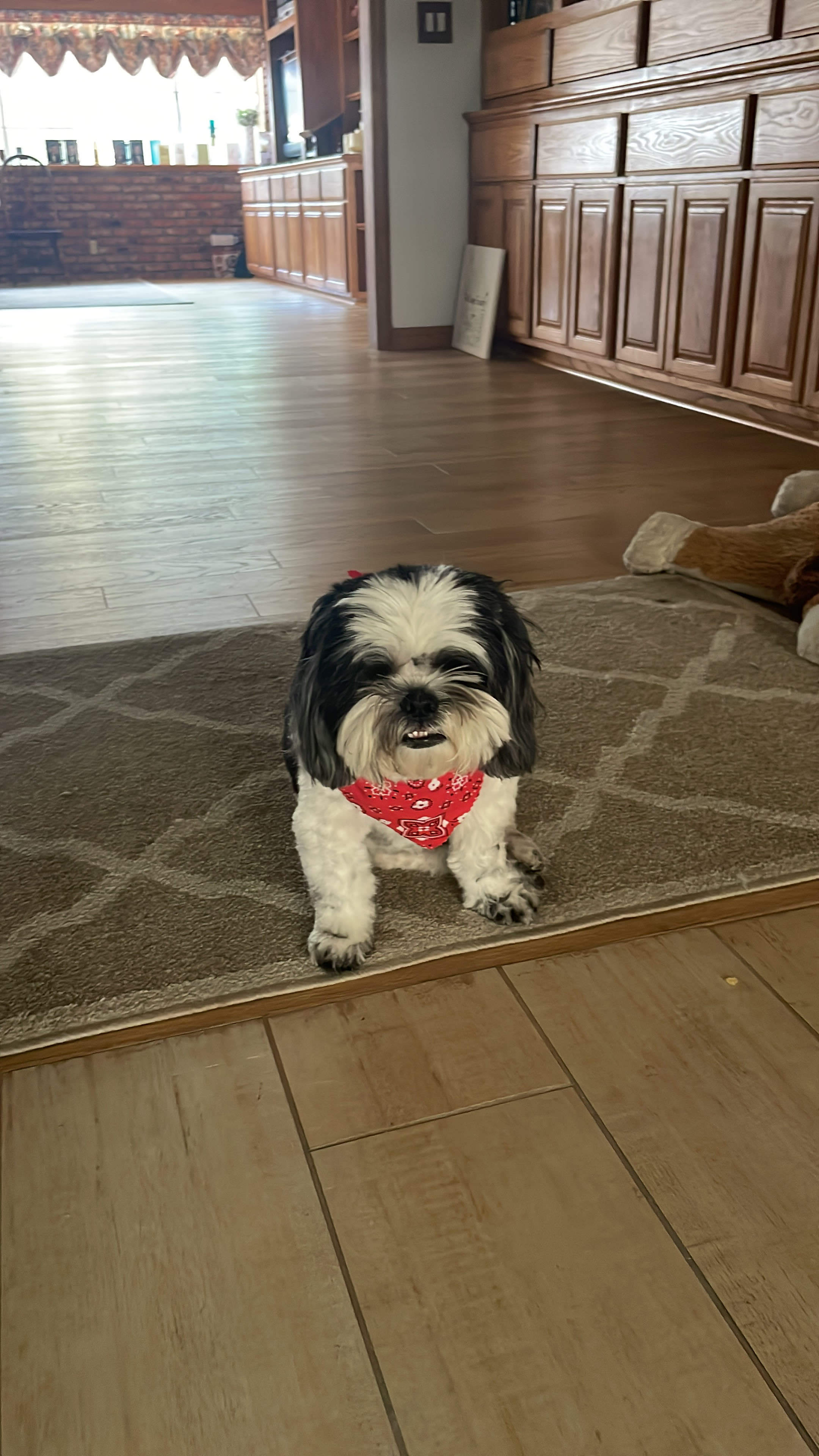 Hunter Sage Hunter Sage