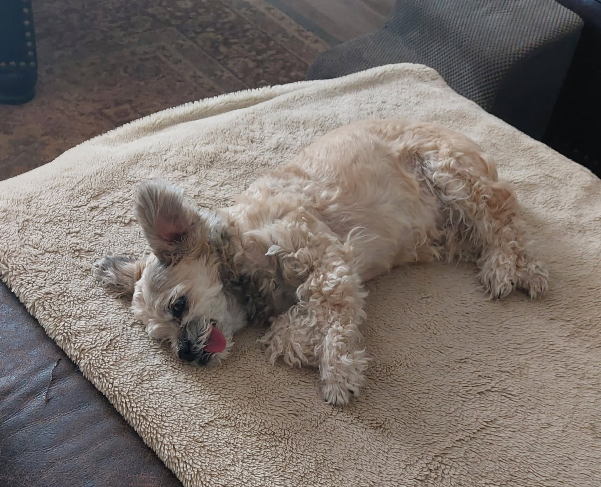 Obie Davey and Chuie