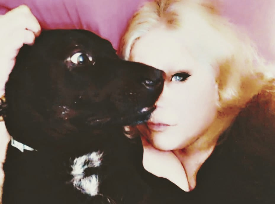 Buddy Bear Buddy Bear