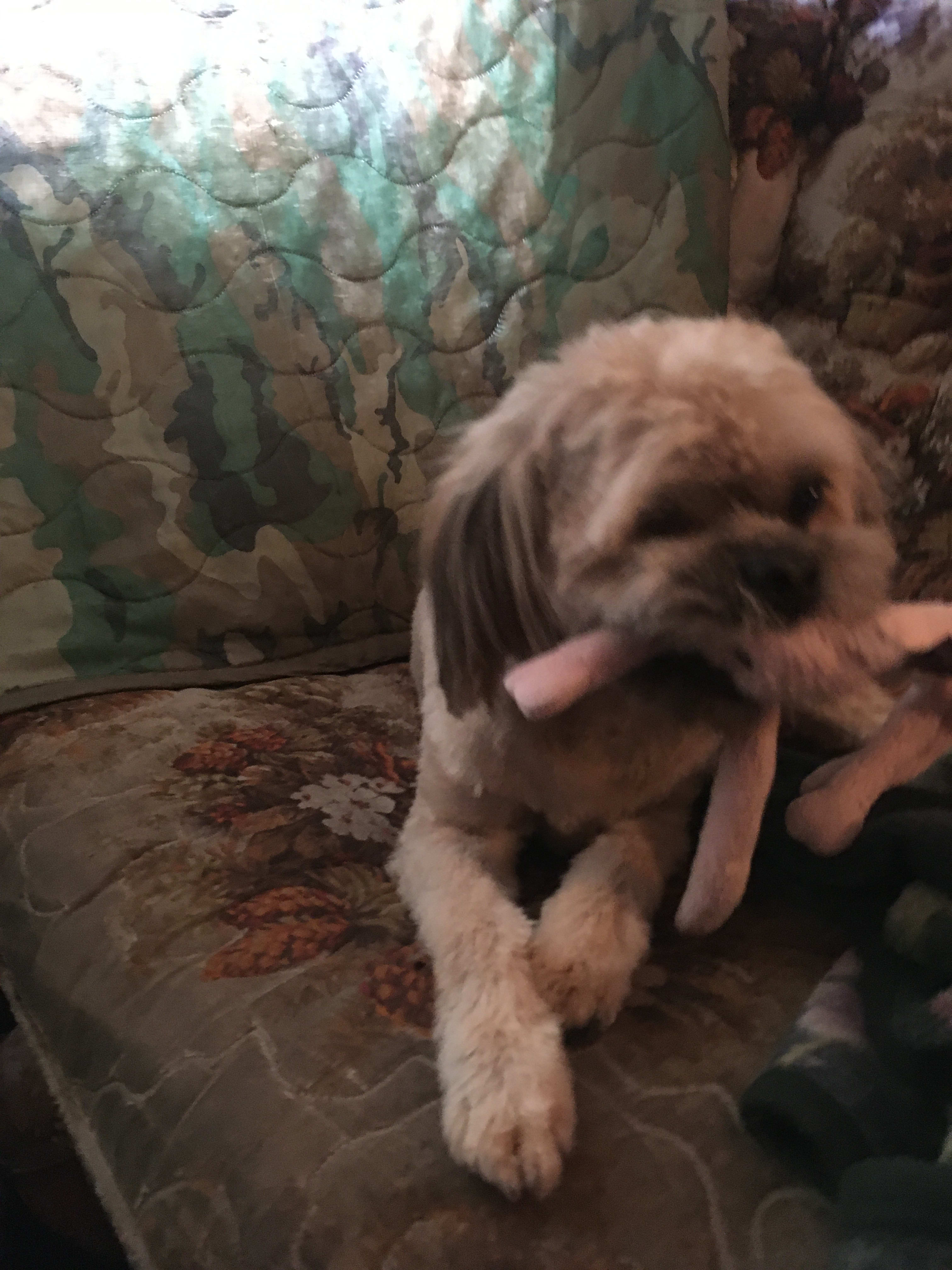 Maynard pupkin Maynard pupkin