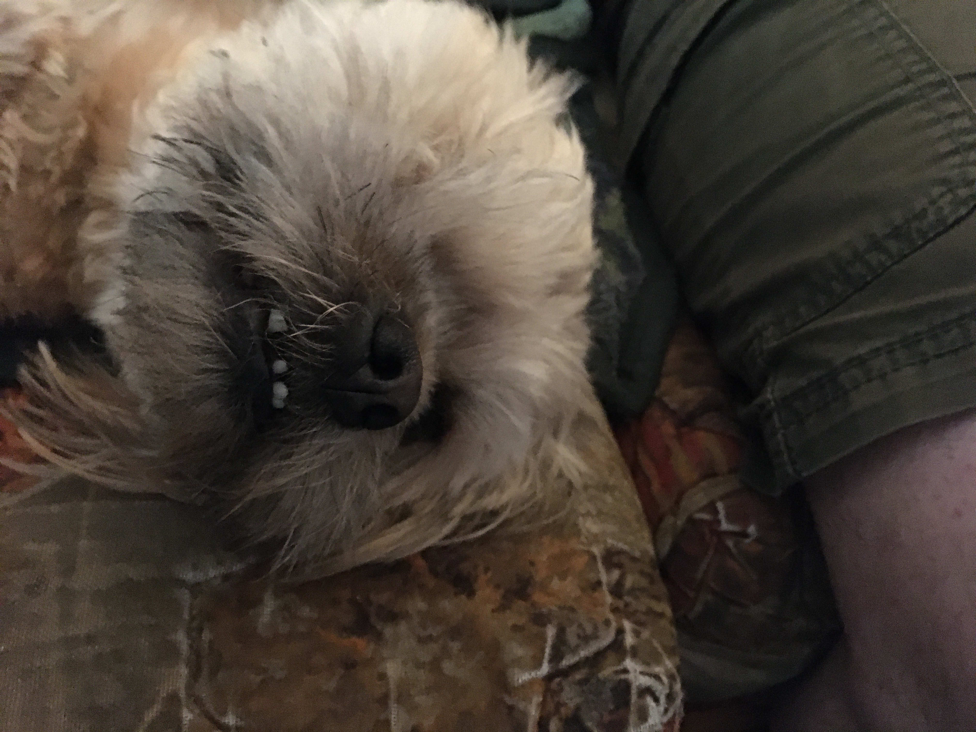 Maynard pupkin Maynard pupkin