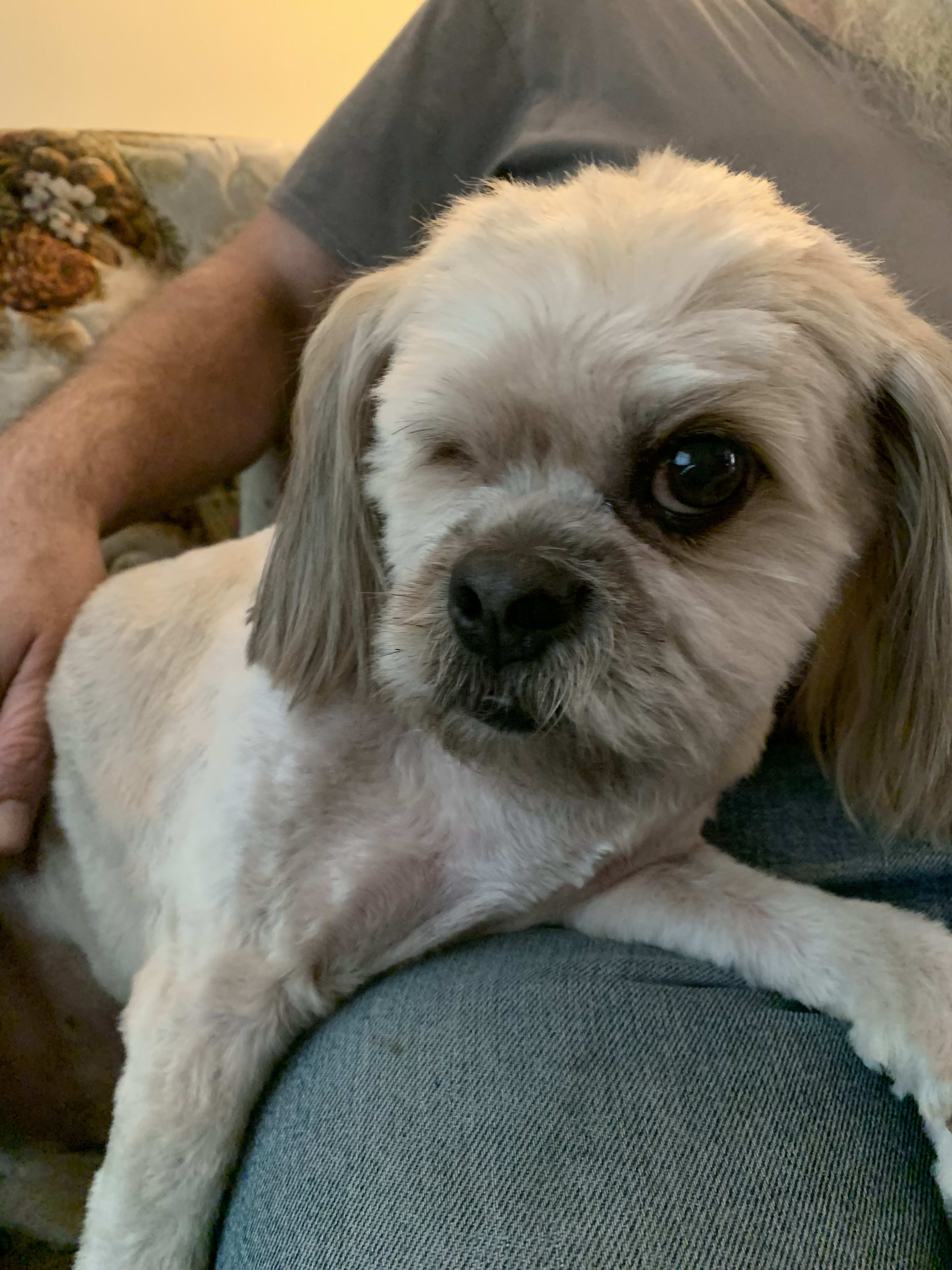 Maynard pupkin Maynard pupkin