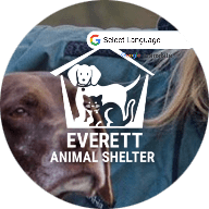 Everett animal shelter