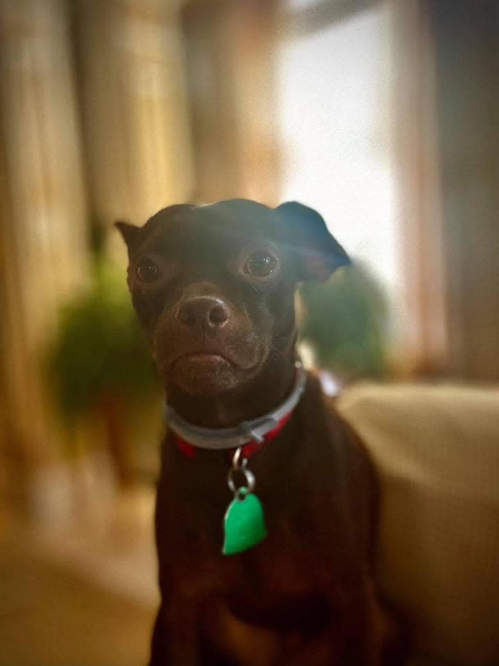 Valentino Cox deceased