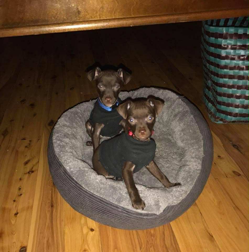 Valentino Cox deceased