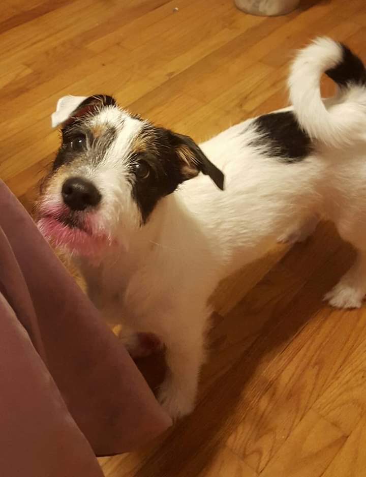 Sir Samuel Buffington