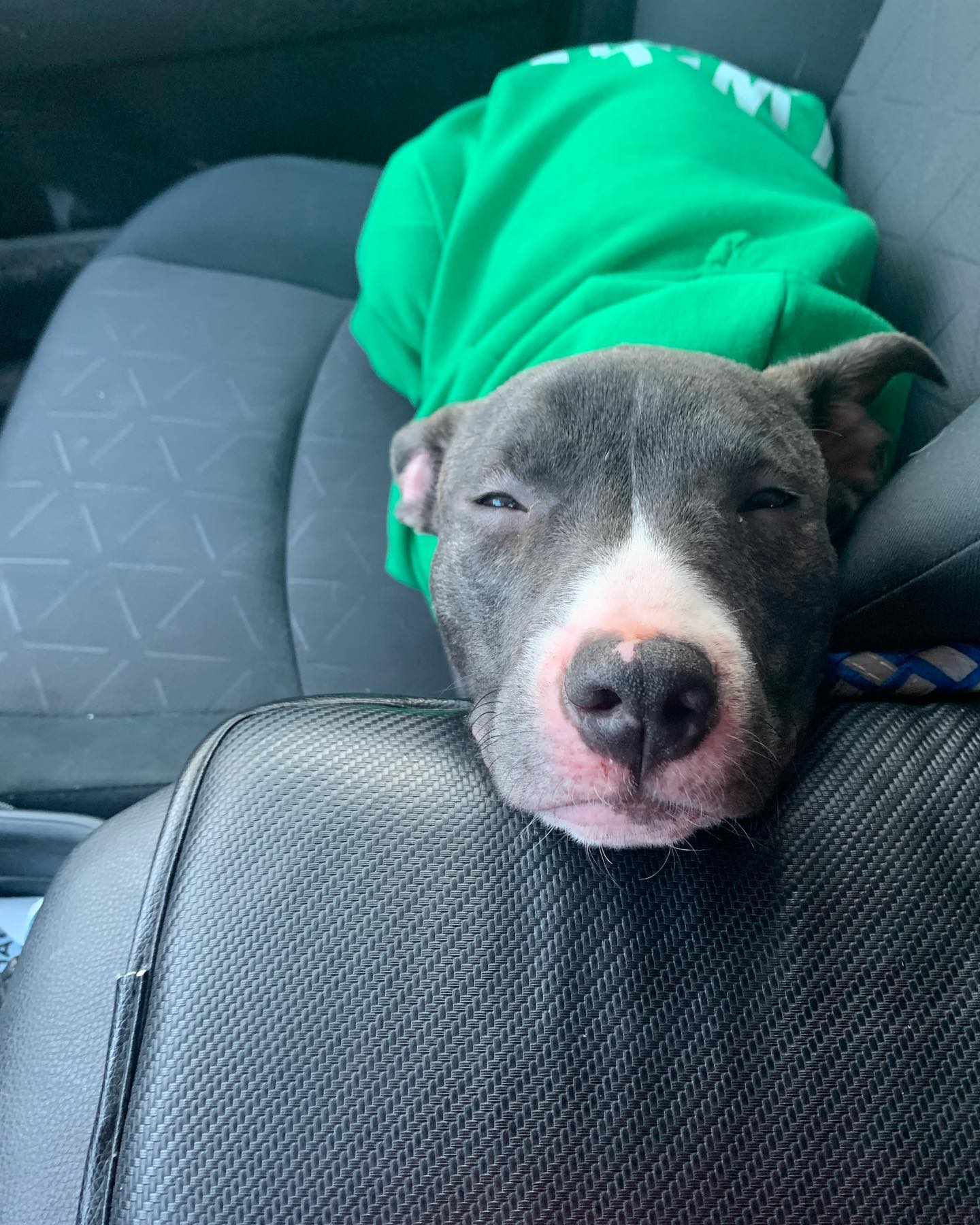 Sally aka Puppy Power