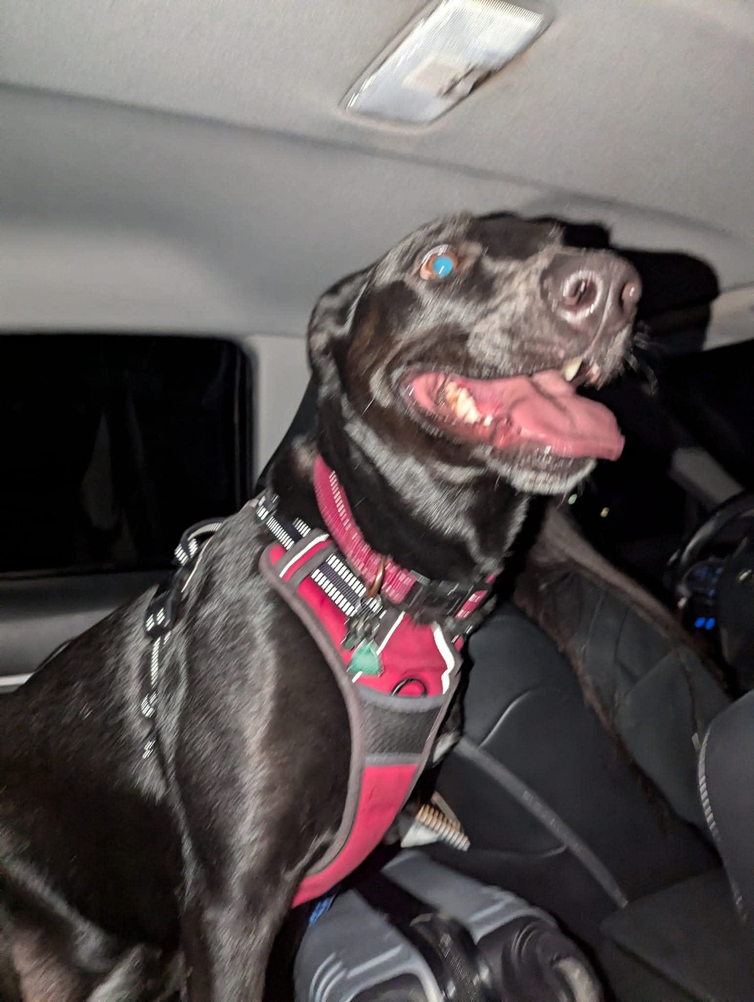 Hailey Grace Hailey Grace