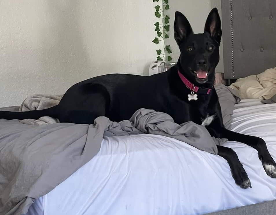 Hailey Grace Hailey Grace