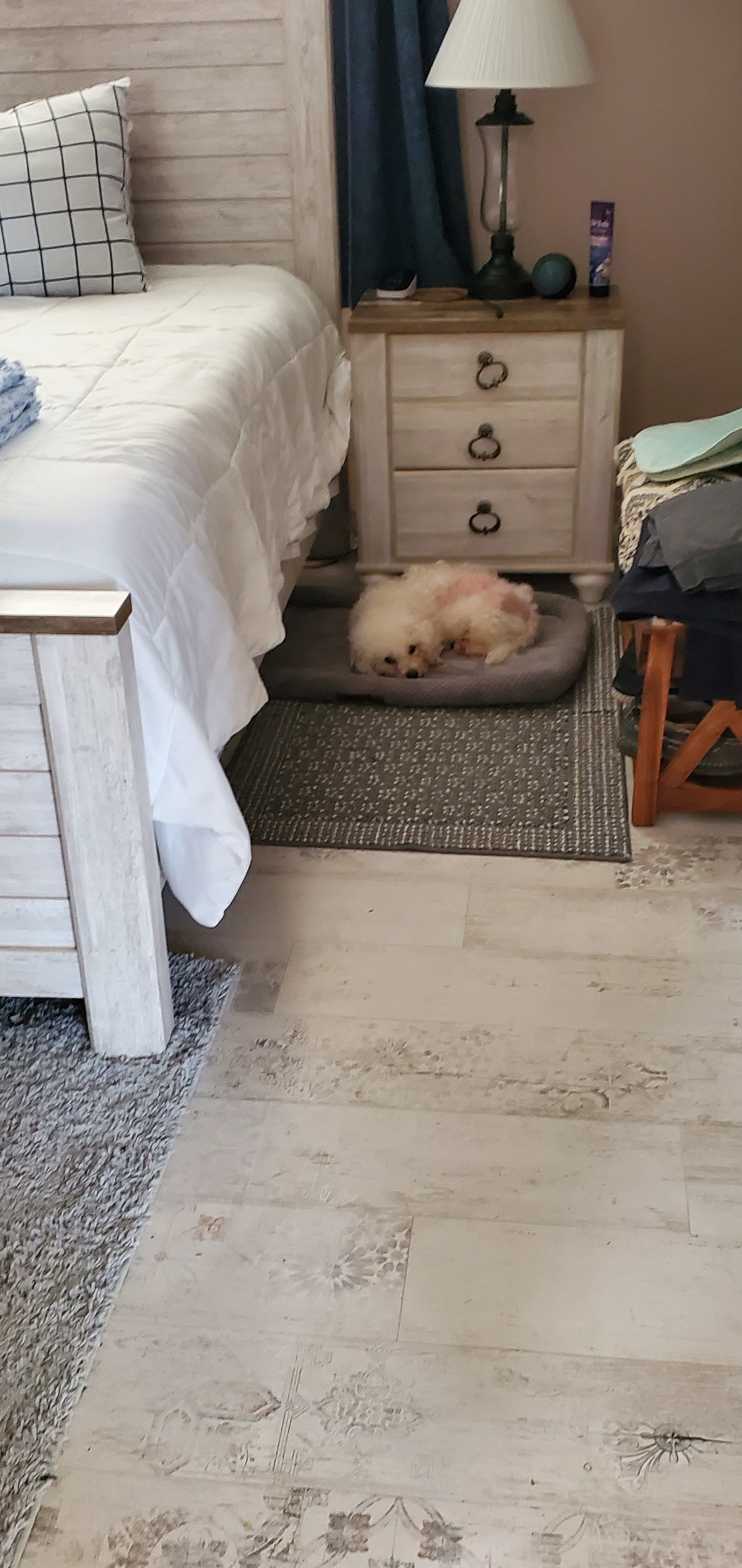 Peppermint Peppermint