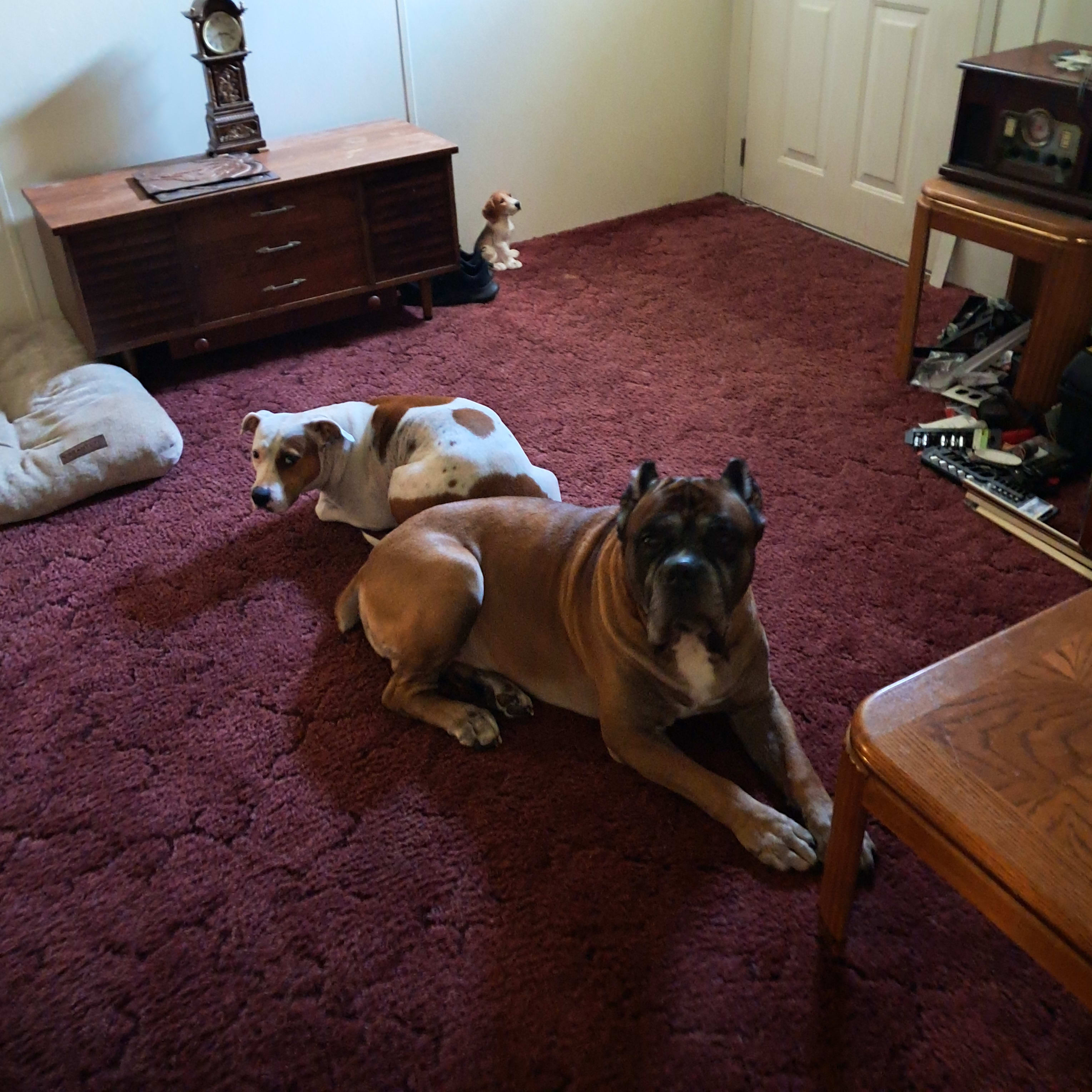 Mr_Remington_and_Miss_Sweet_Tea