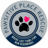 Pawsitive Place Rescue 