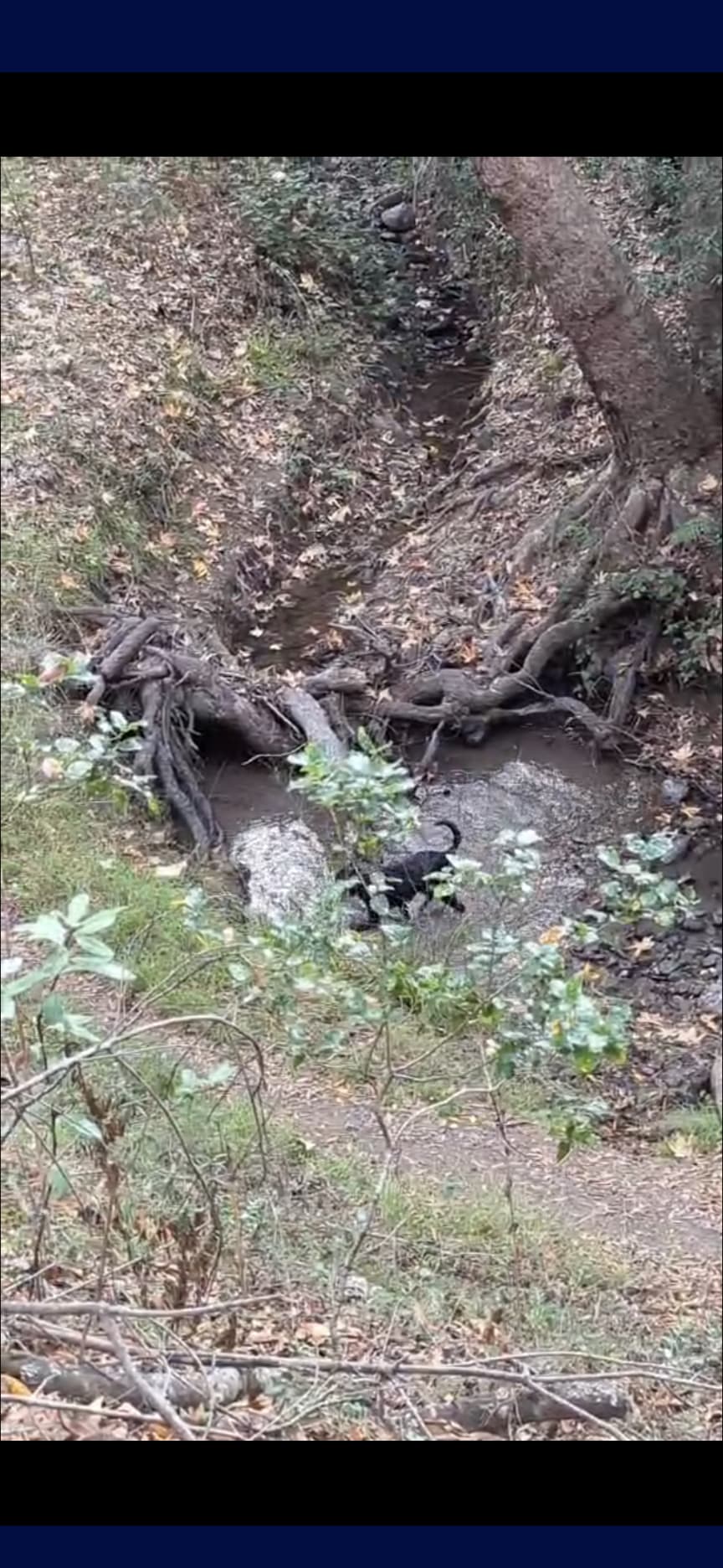 Hailey Grace Hailey Grace