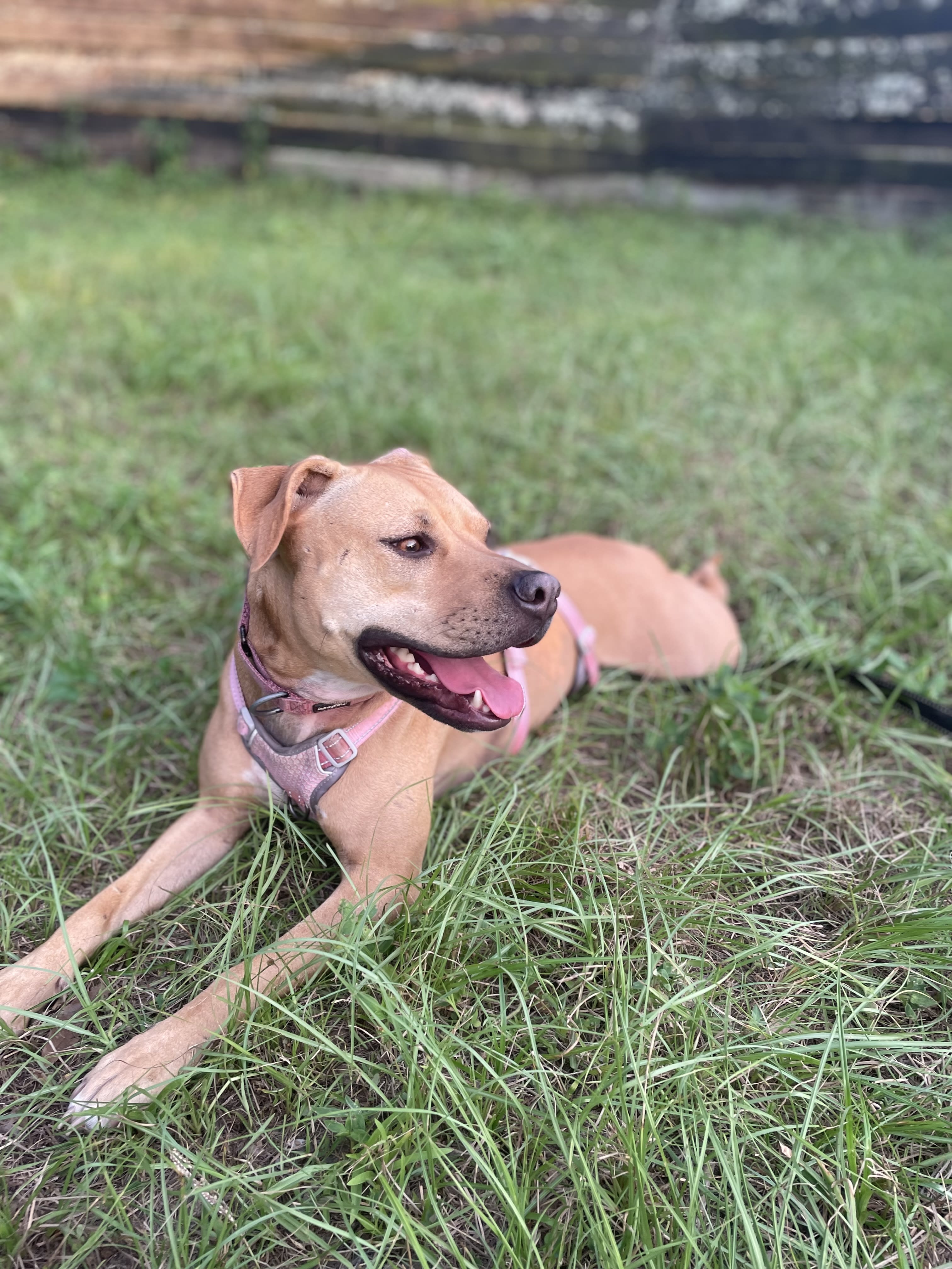 Ginny Bean Ginny Bean