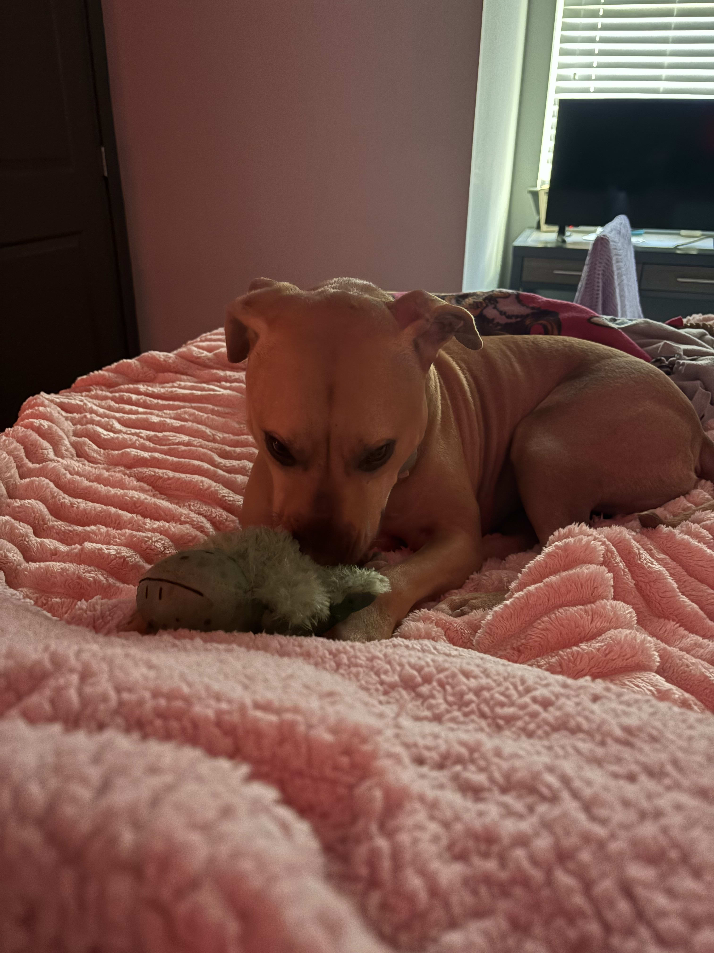 Ginny Bean Ginny Bean