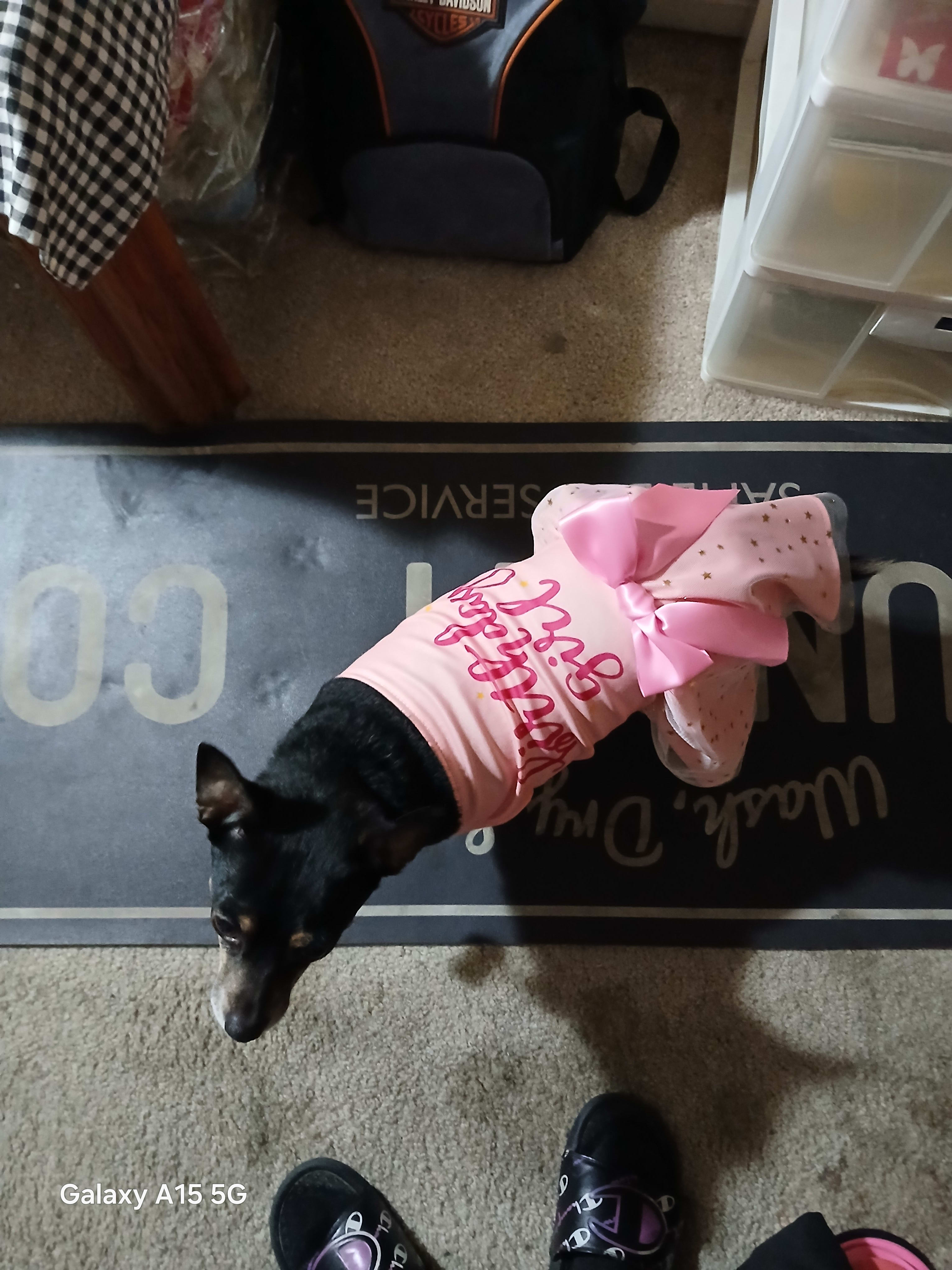 Scrappy Doo and Fauna May