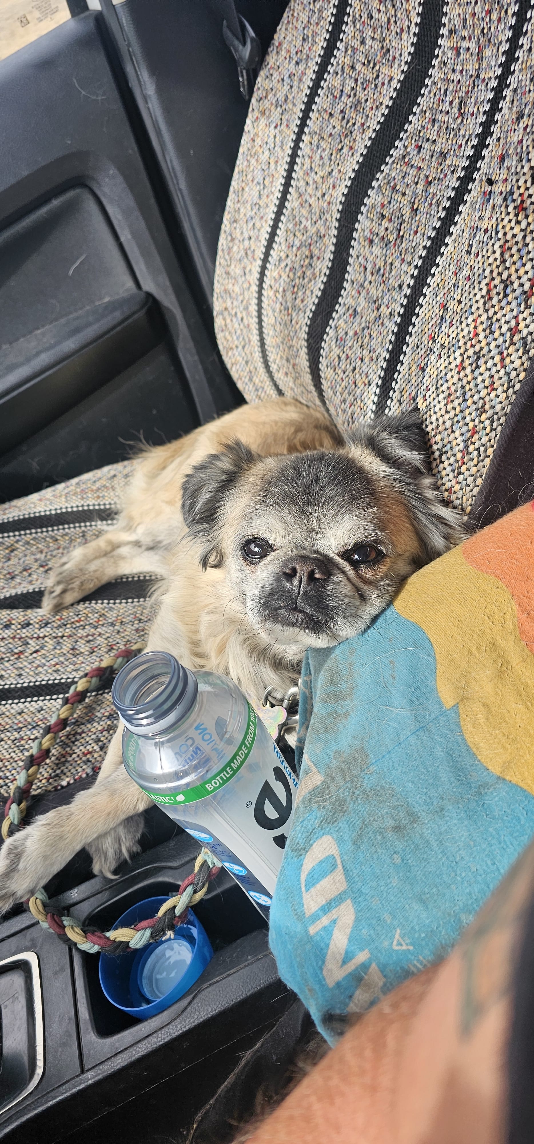 Hank Wickie and Hazel