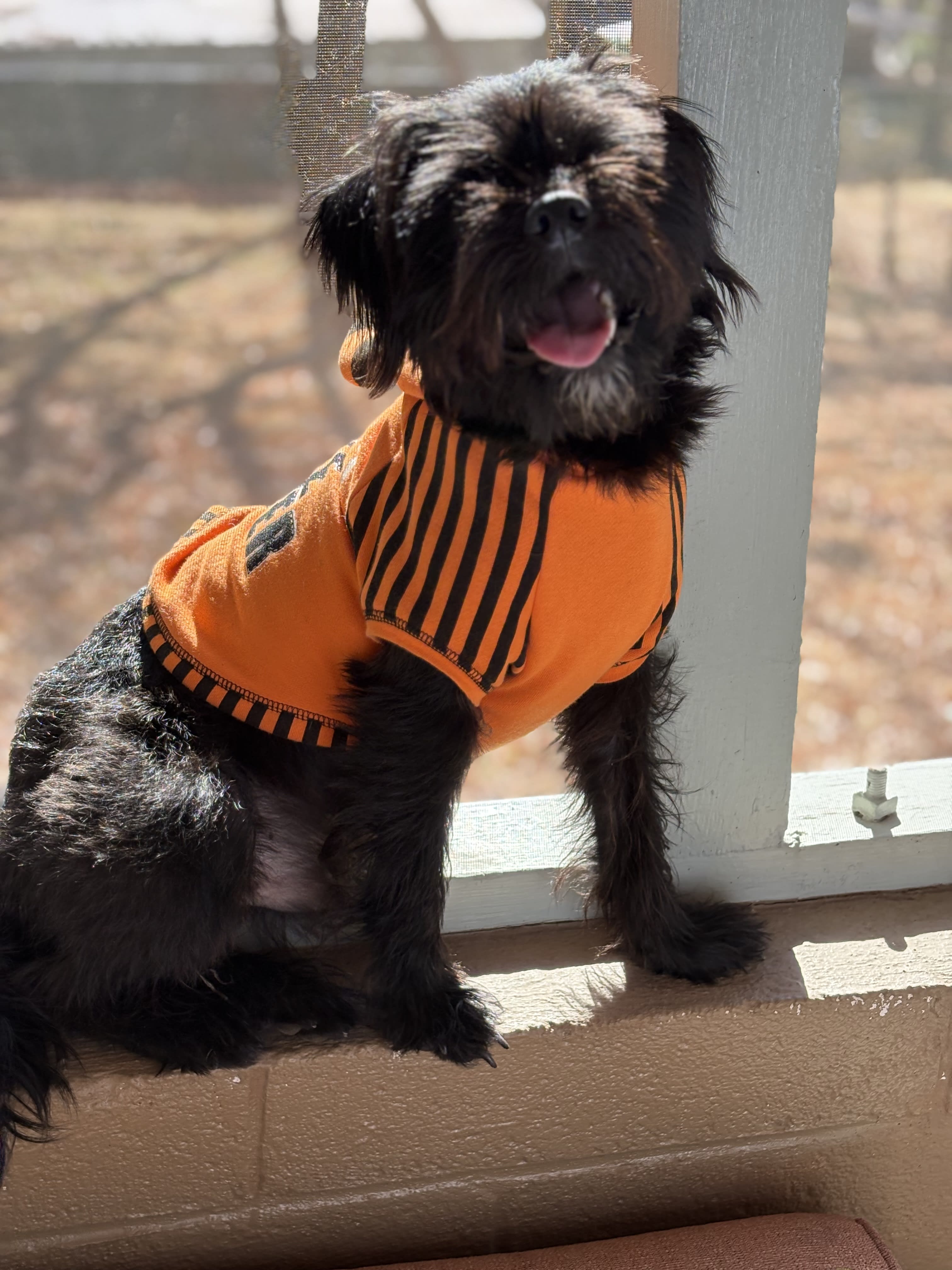 Bentley Hiccup Bentley Hiccup