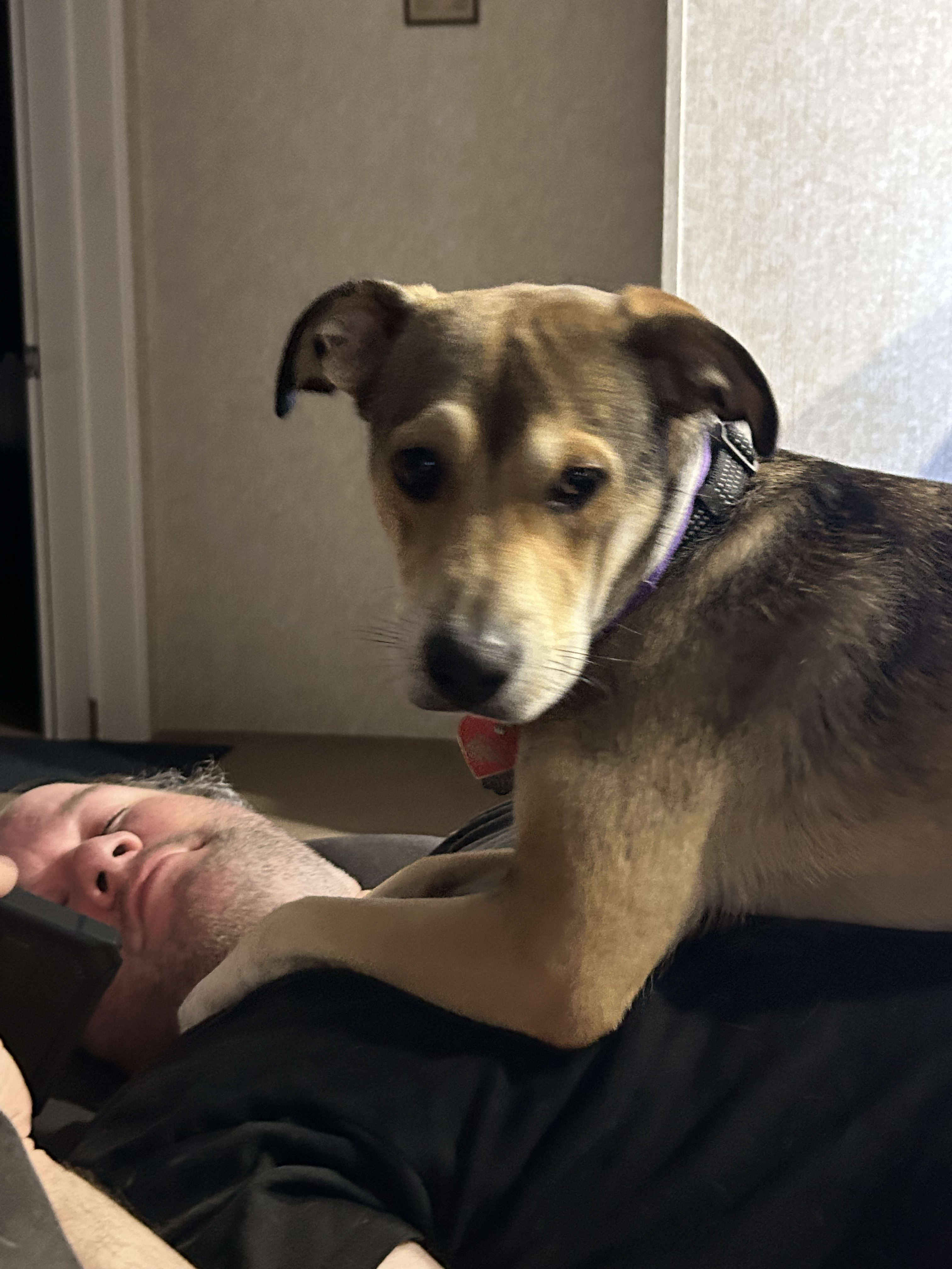 Maggie Mae Maggie Mae