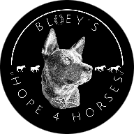 Bluey’s Hope 4 Horses and Heelers 