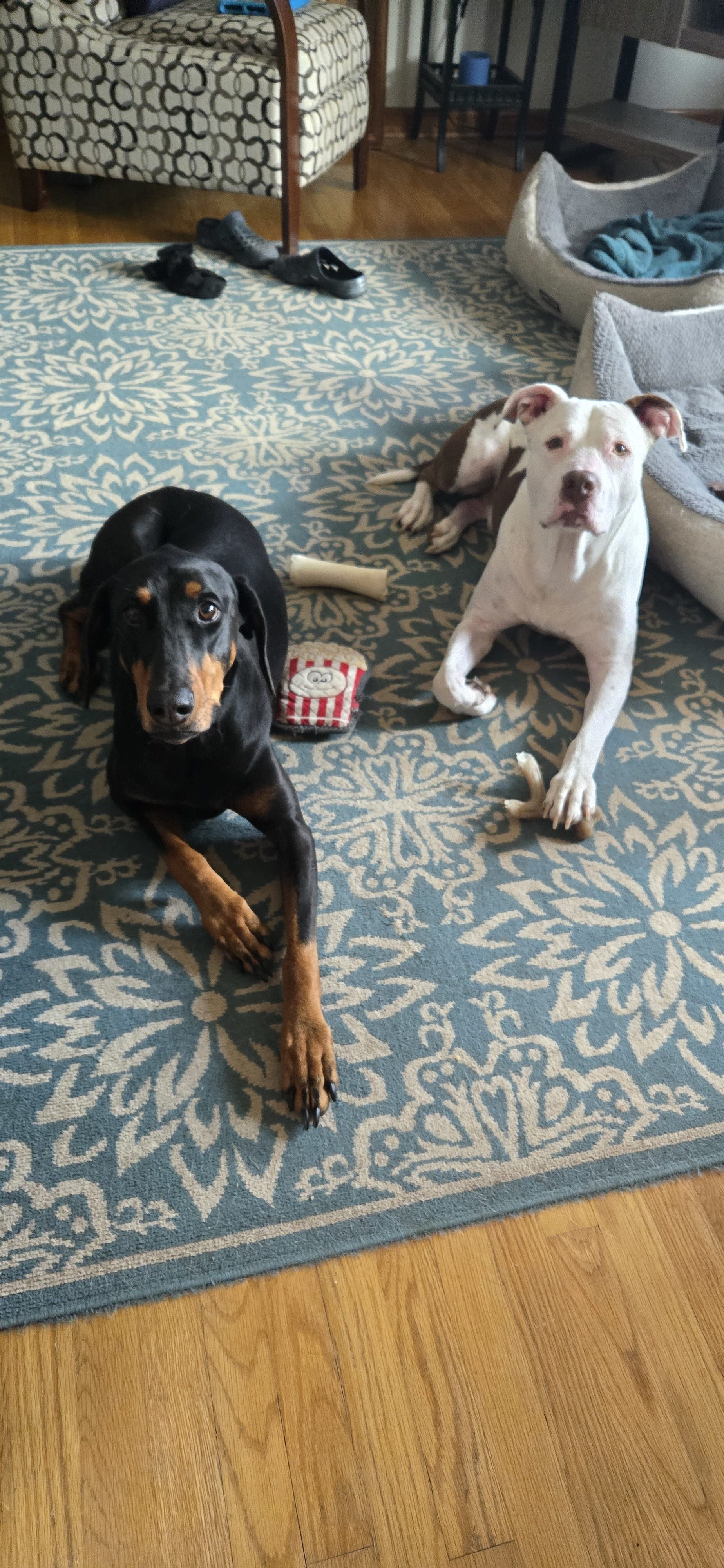 Anja and Niko Anja and Niko