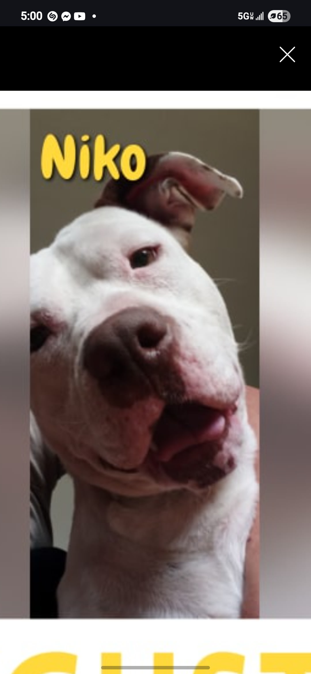 Anja and Niko Anja and Niko