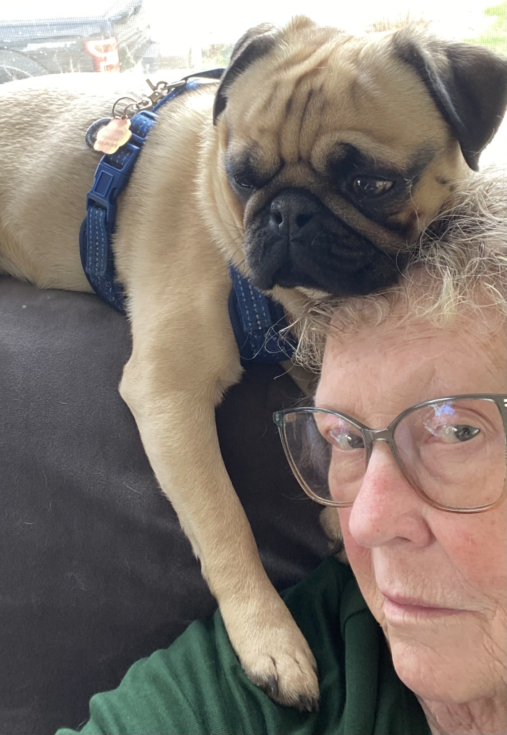 William Henry Puggins