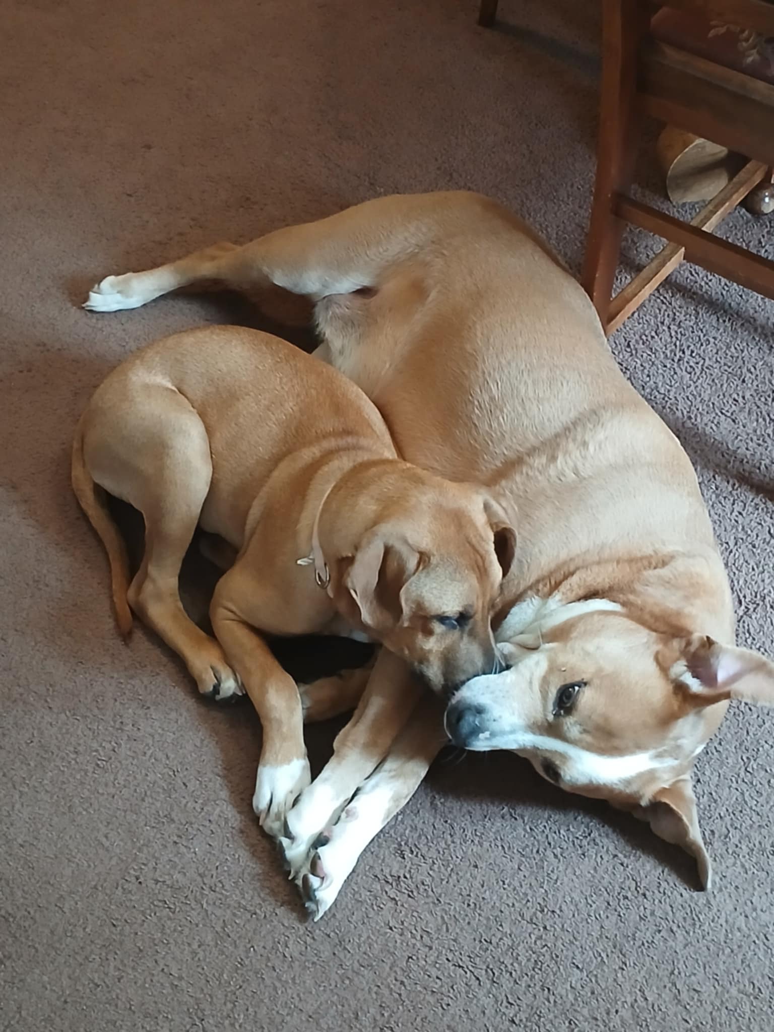 Sugar and Maggie