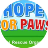 Hope for paws