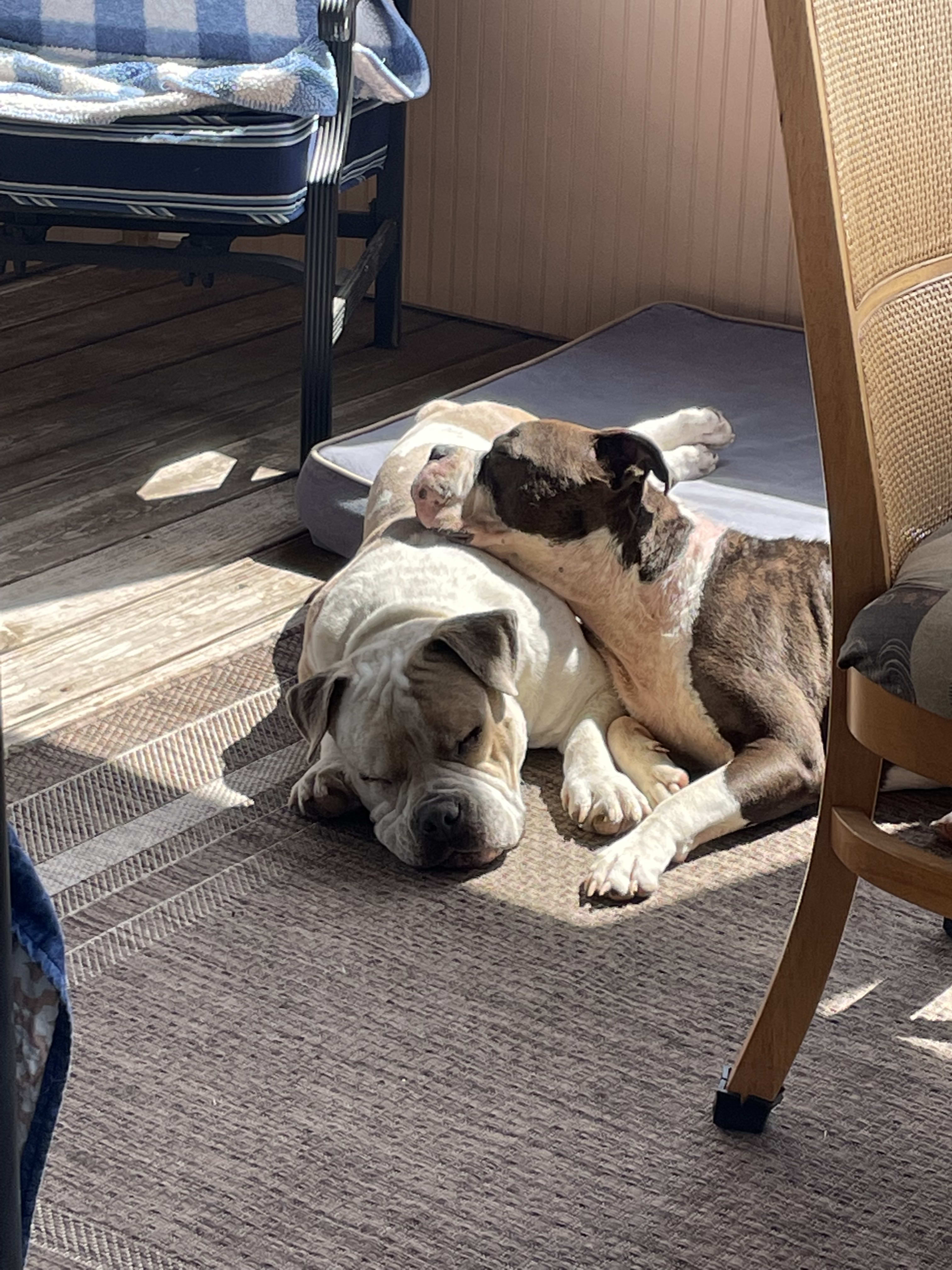 Howie an Ernie Howie an Ernie