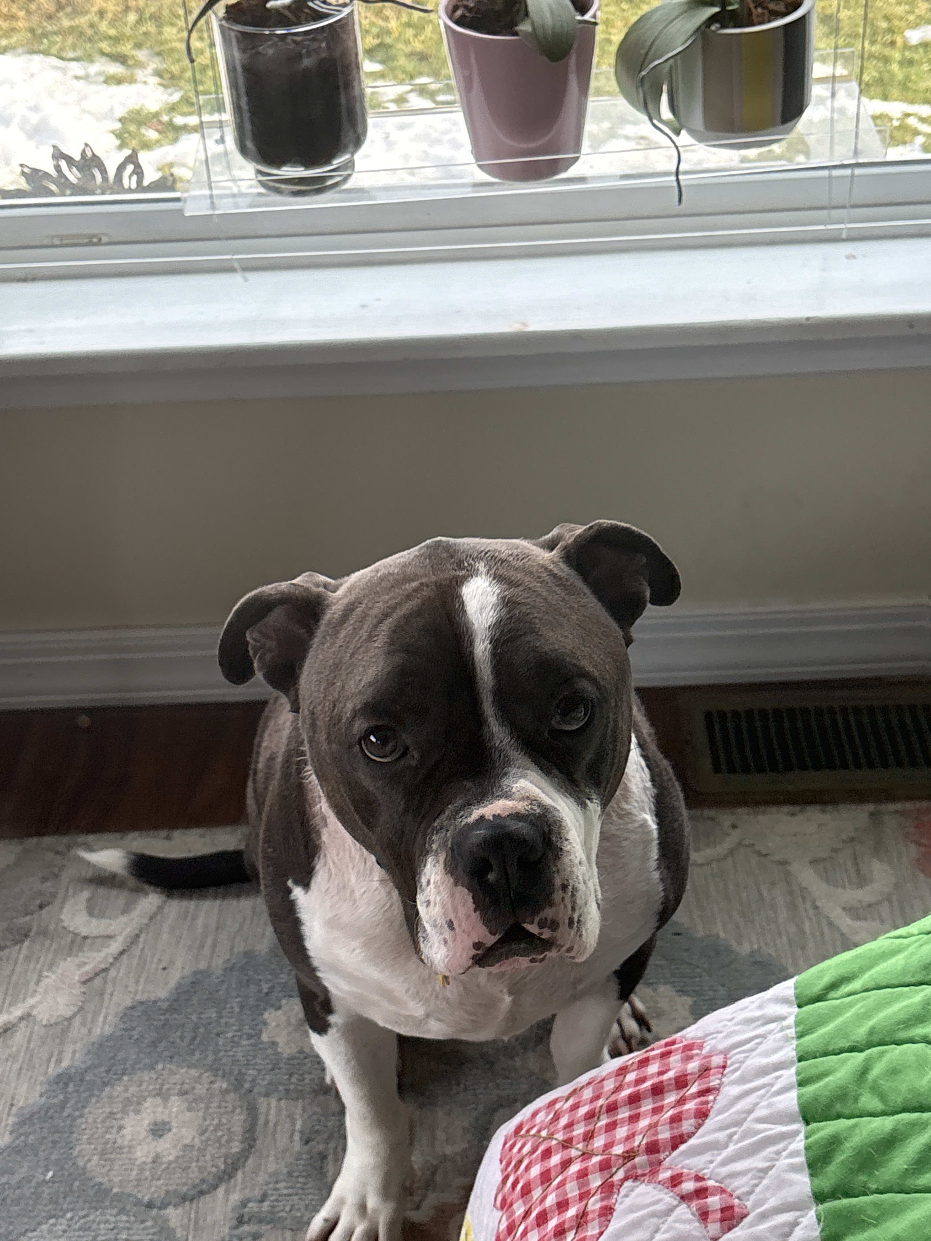 Howie an Ernie Howie an Ernie