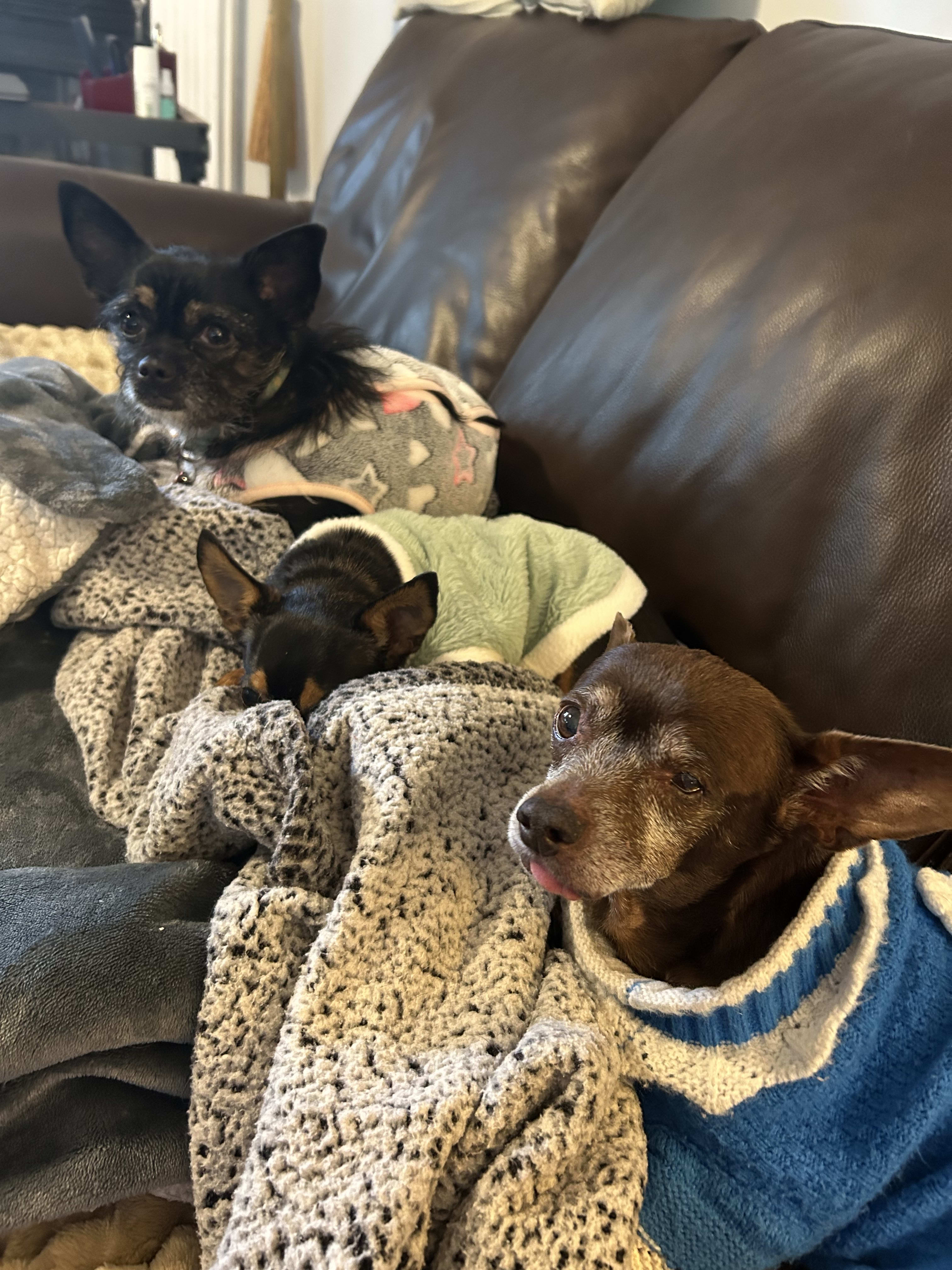 Maya and sister Gracie