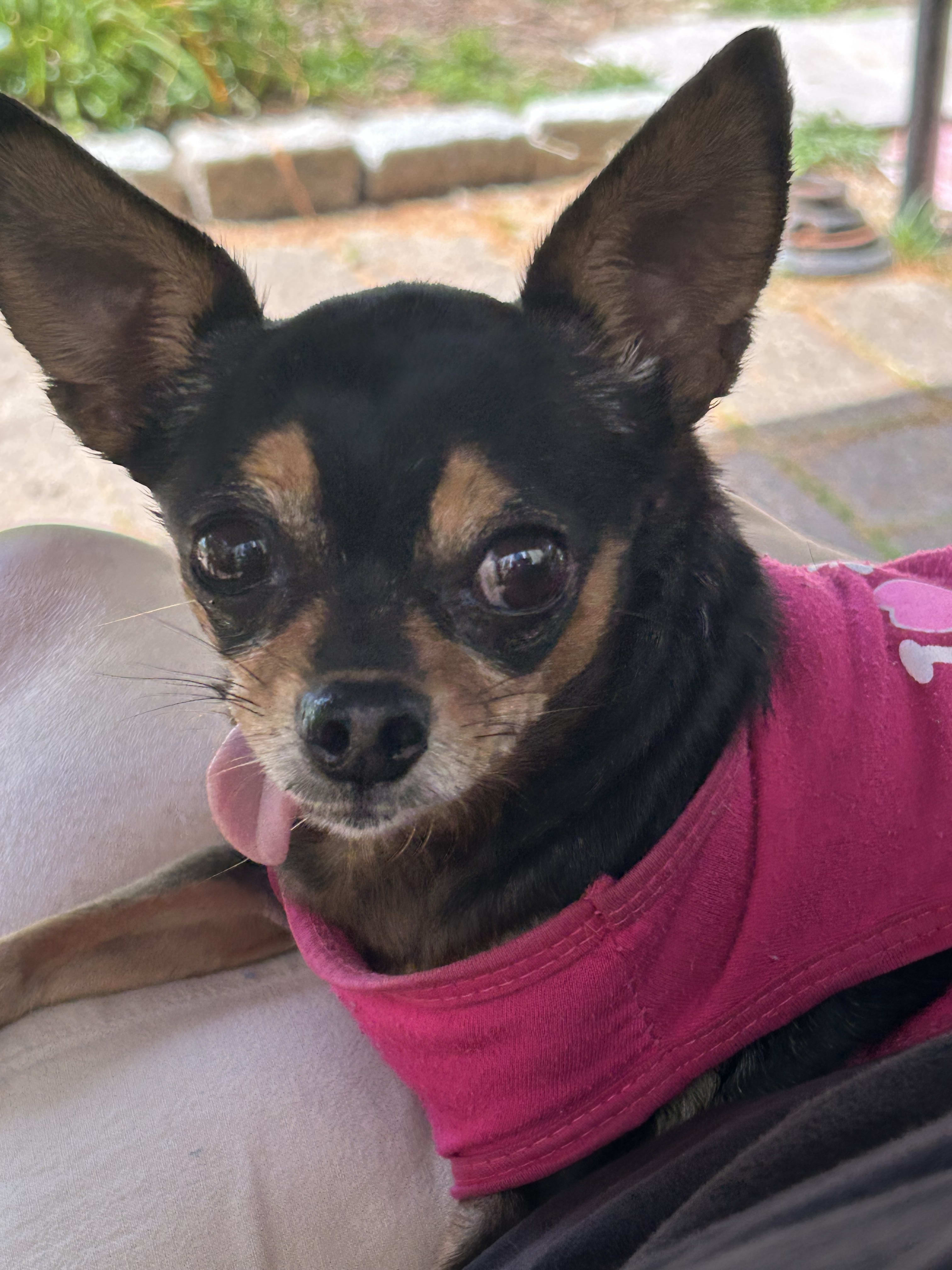 Maya and sister Gracie