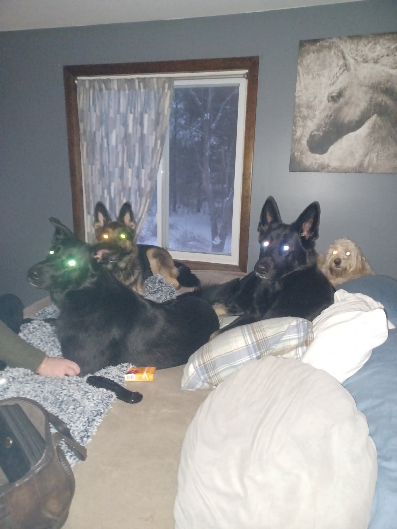 GUNNER aka MY NUGGET GUNNER aka MY NUGGET