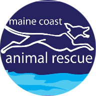 Maine Coast Animal Rescue