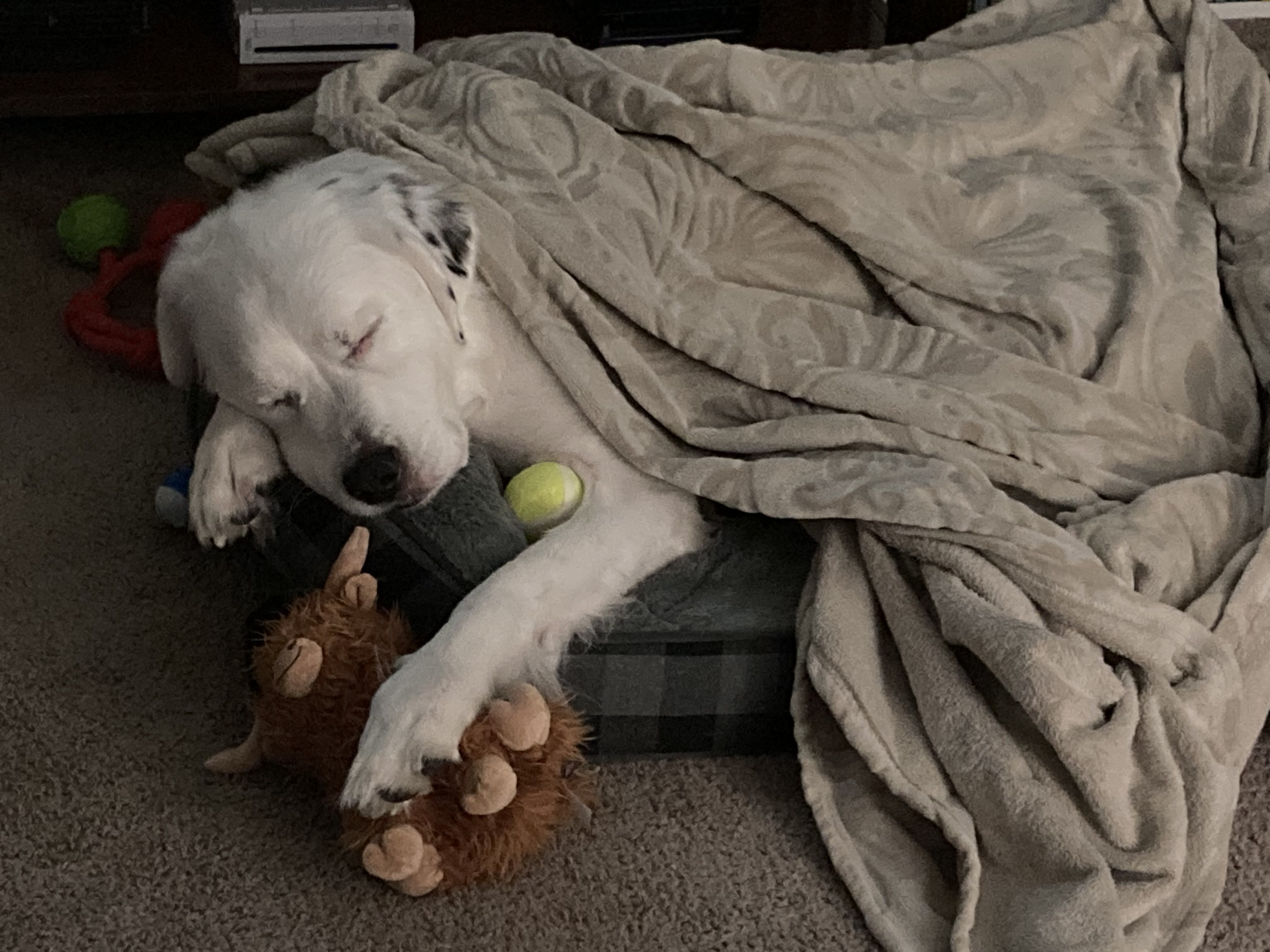 Otis Rutherford Otis Rutherford