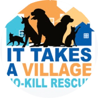 It Takes A Village - No Kill Rescue - Spencer