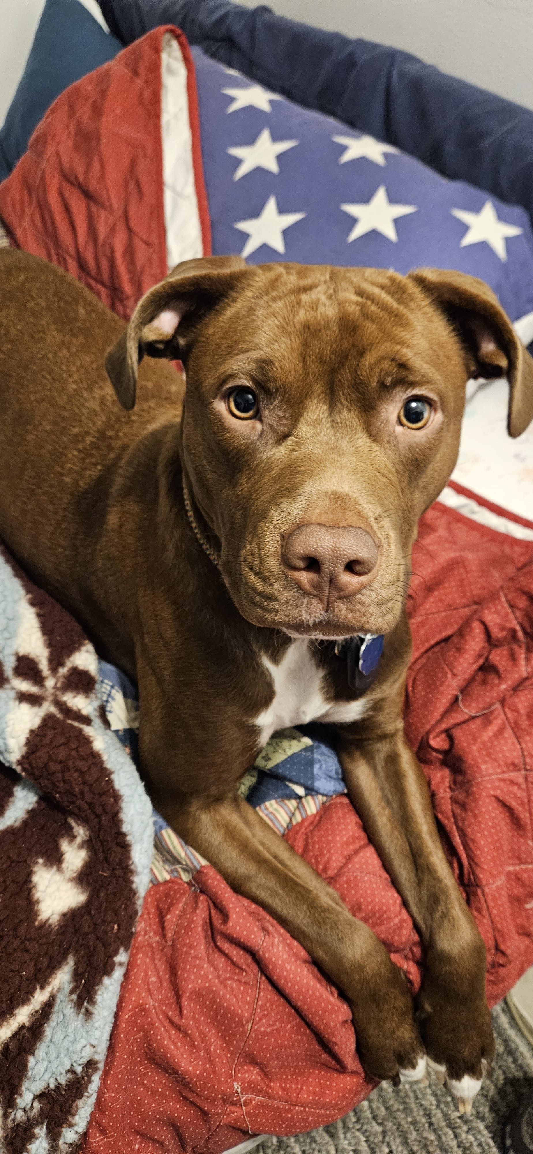 Daphne Rose Daphne Rose