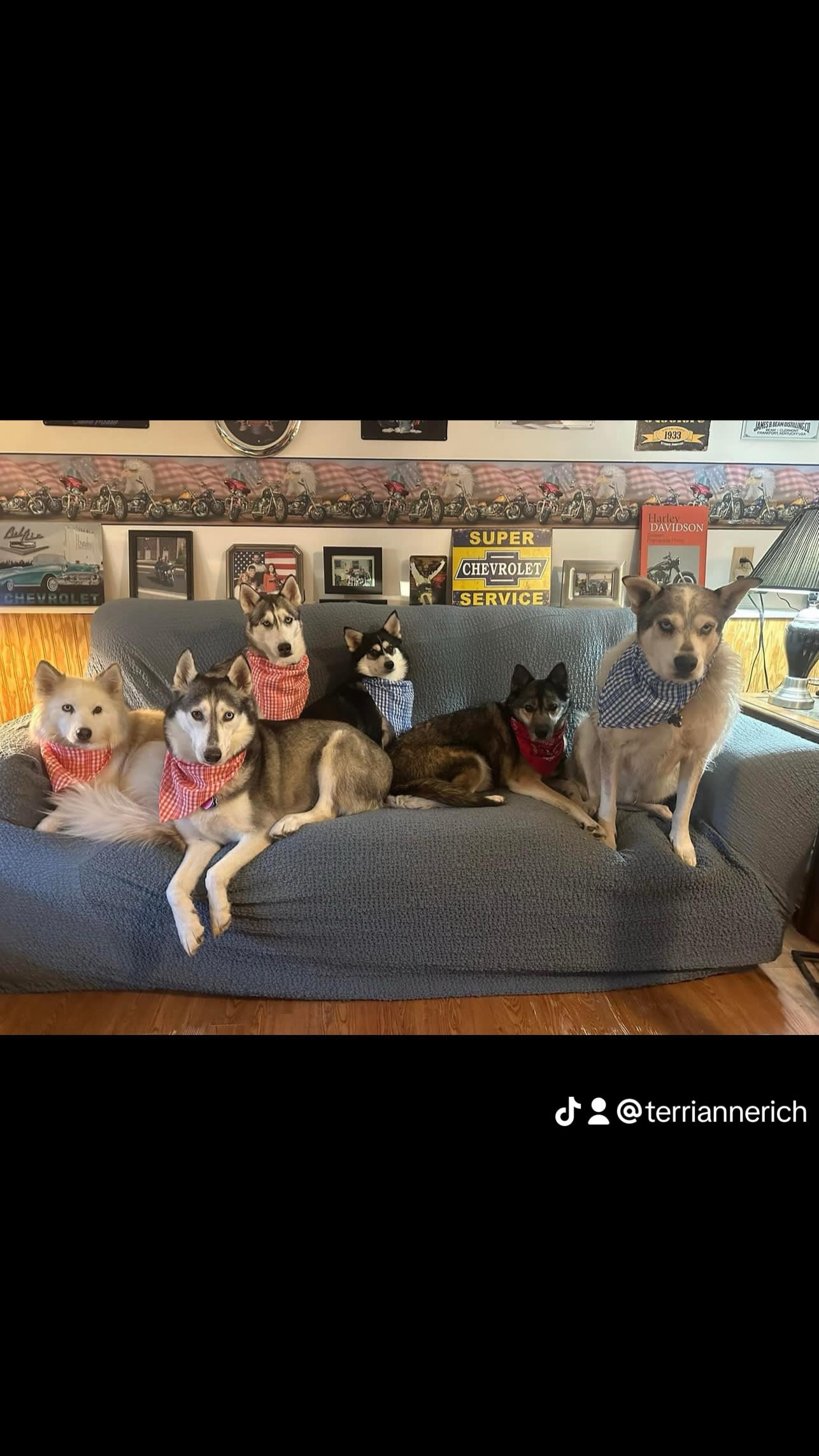 Sapphire Athena Dante Gus