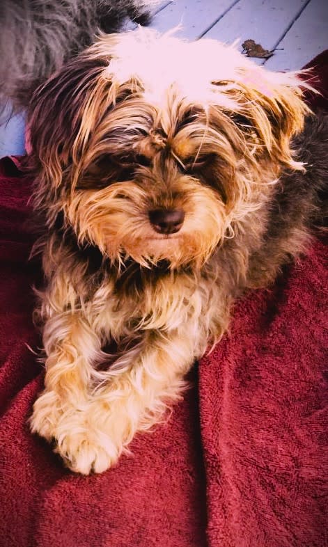 THIS IS JELLY AND HER DAUGHTER PICKLES