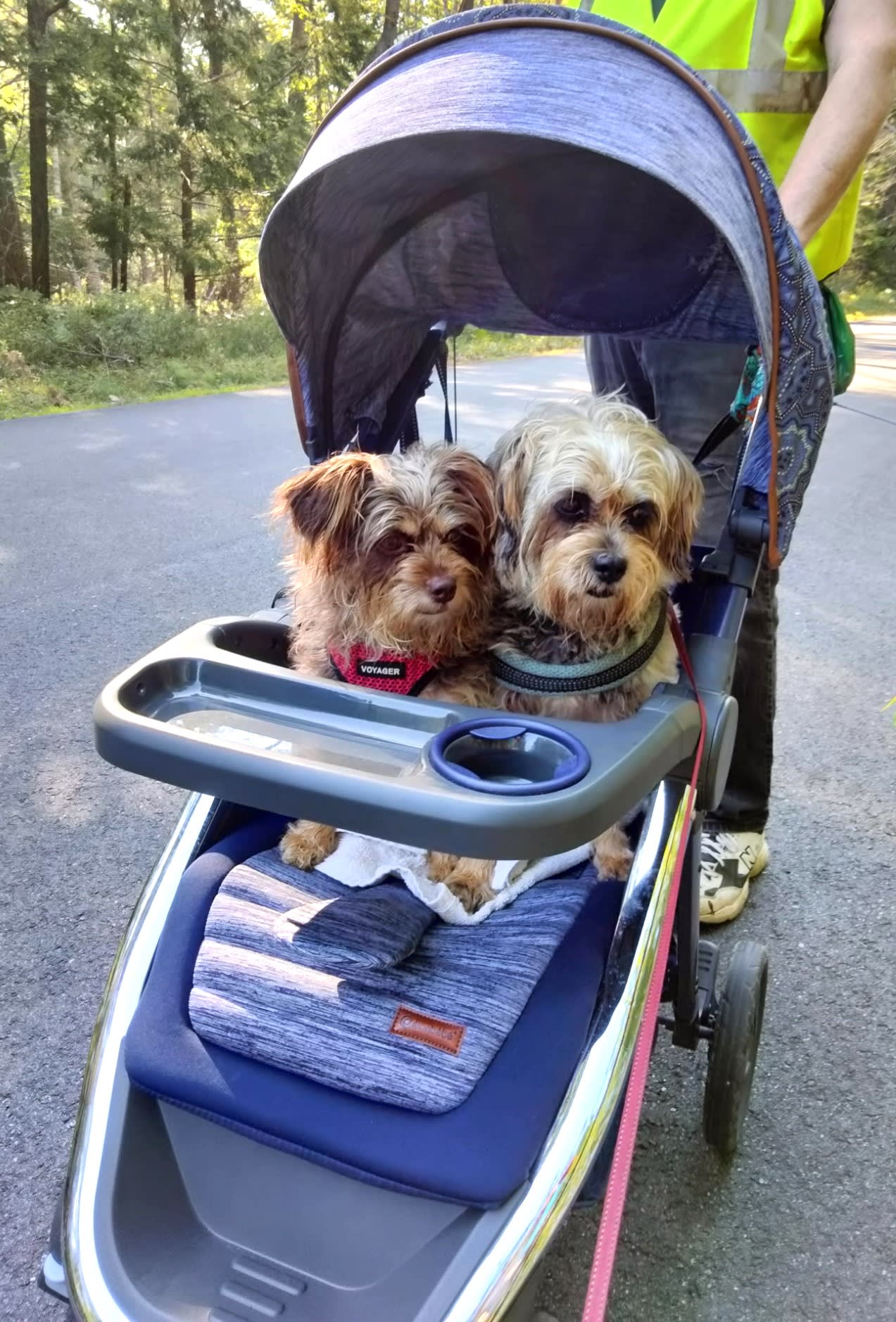 THIS IS JELLY AND HER DAUGHTER PICKLES