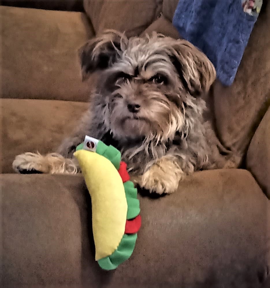 THIS IS JELLY AND HER DAUGHTER PICKLES