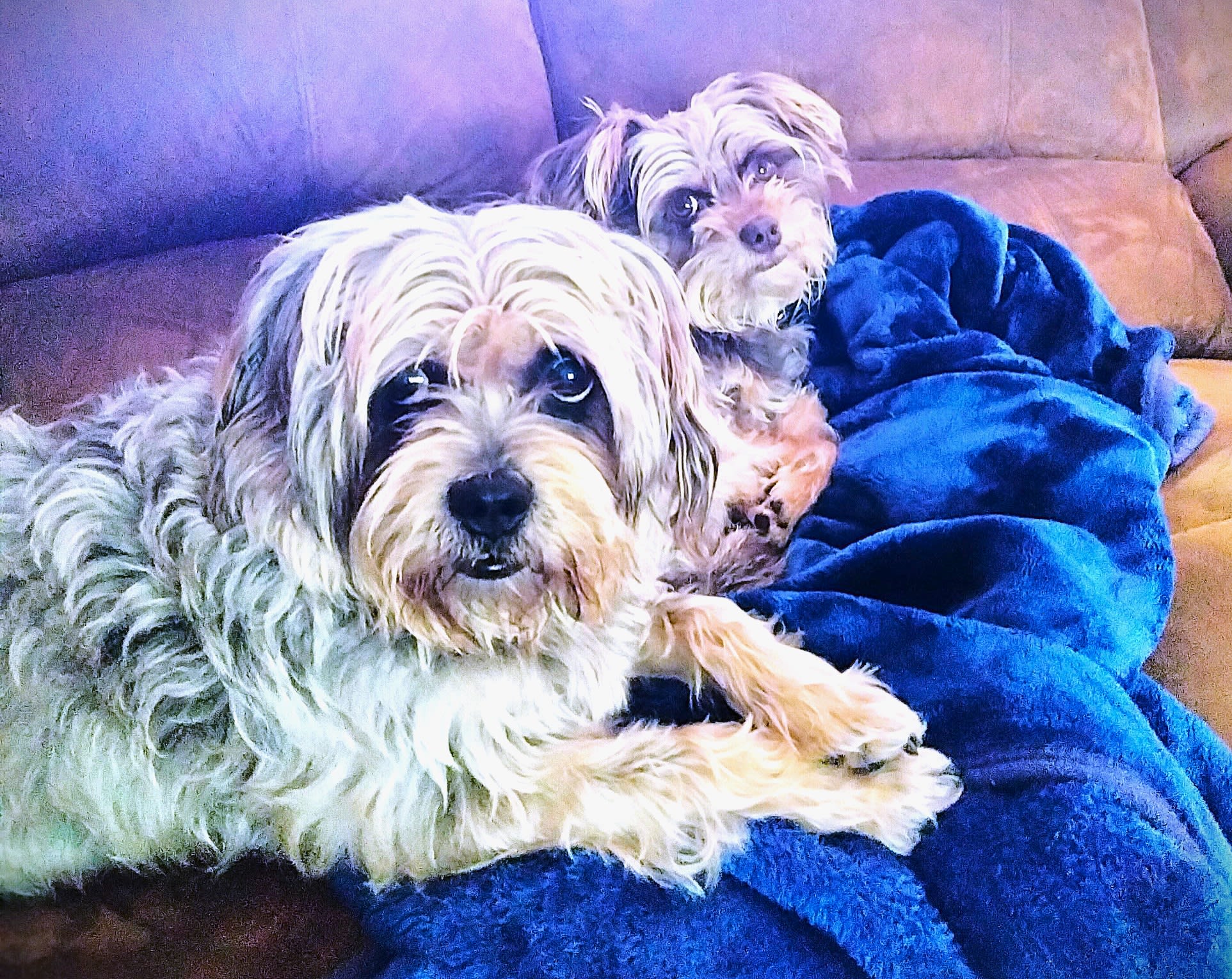 THIS IS JELLY AND HER DAUGHTER PICKLES